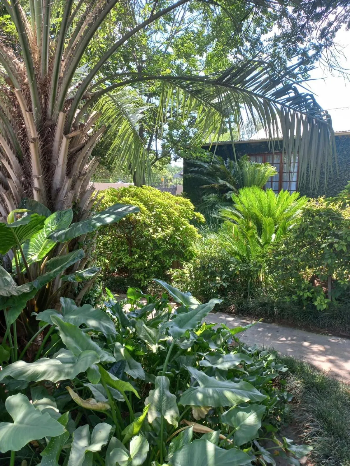 Spring in J'Cups Guest House