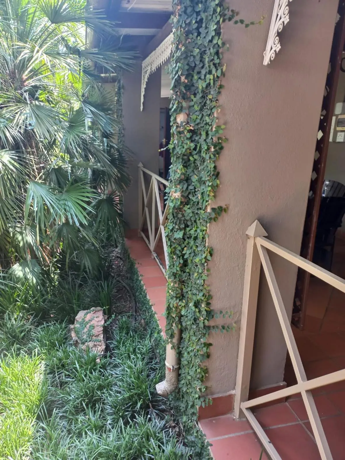 Spring in J'Cups Guest House