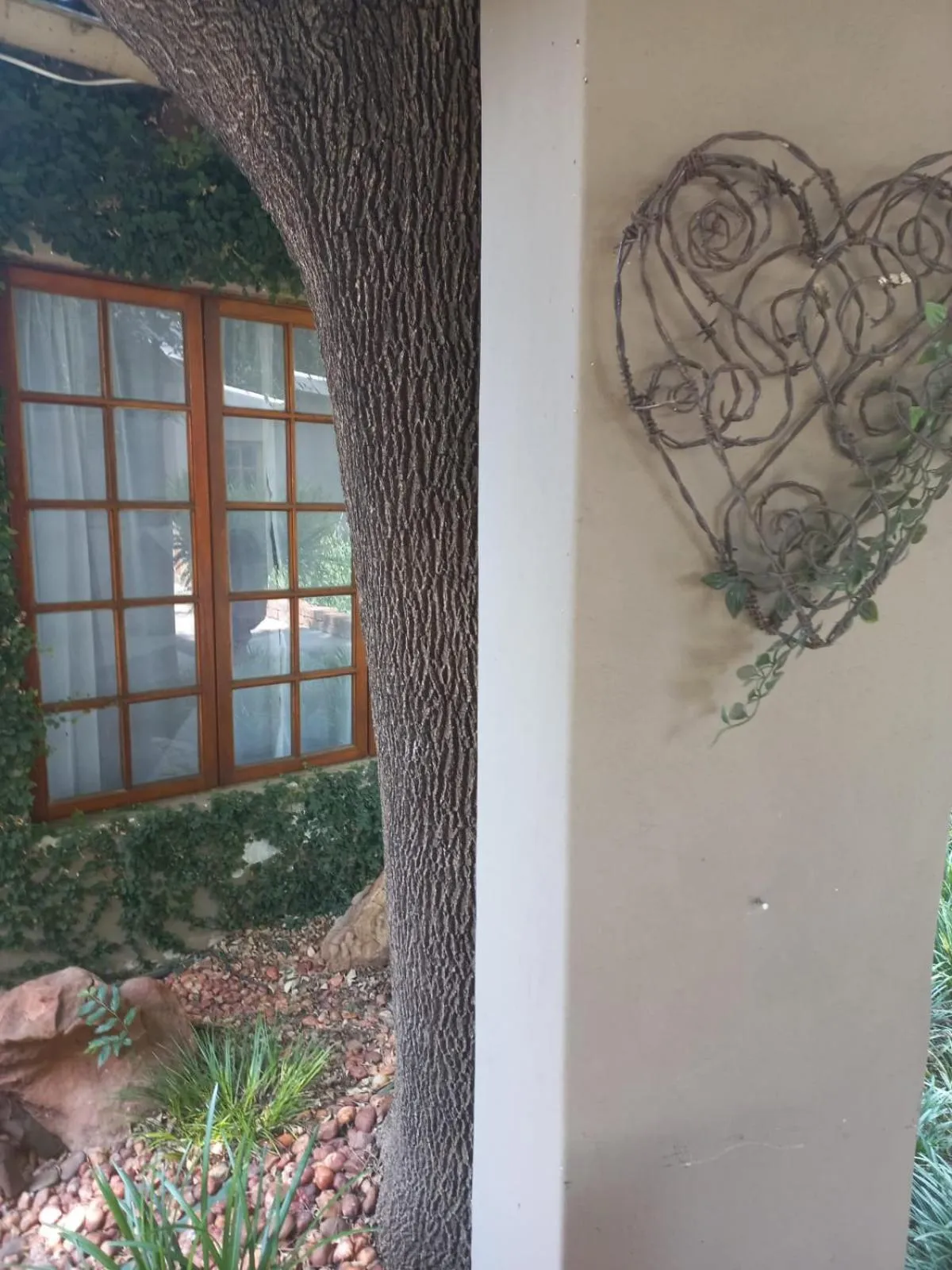 Day in J'Cups Guest House