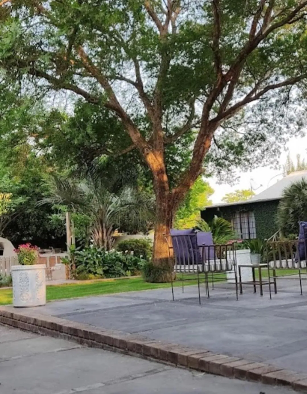 Natural landscape in J'Cups Guest House