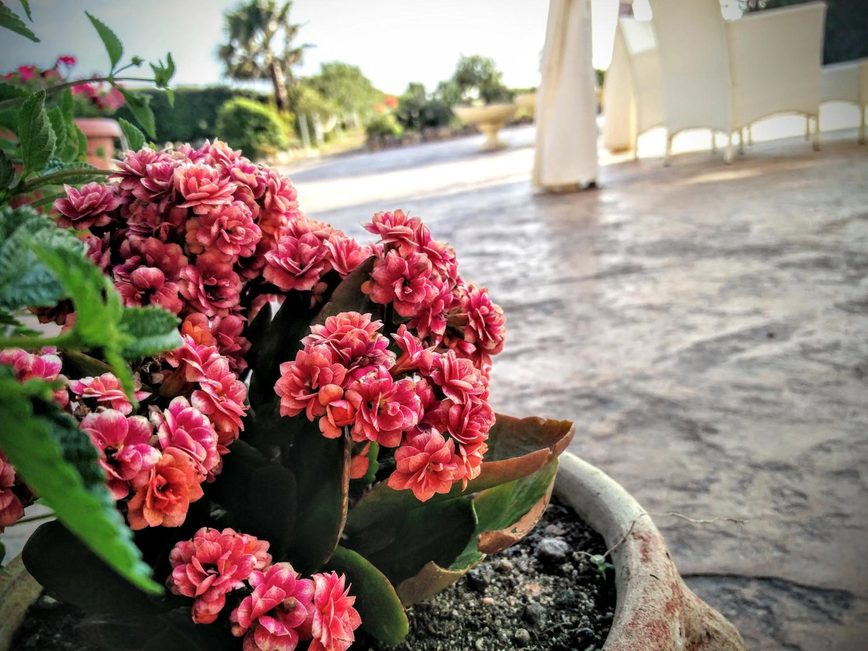 Spring in Hotel Raffael PHG