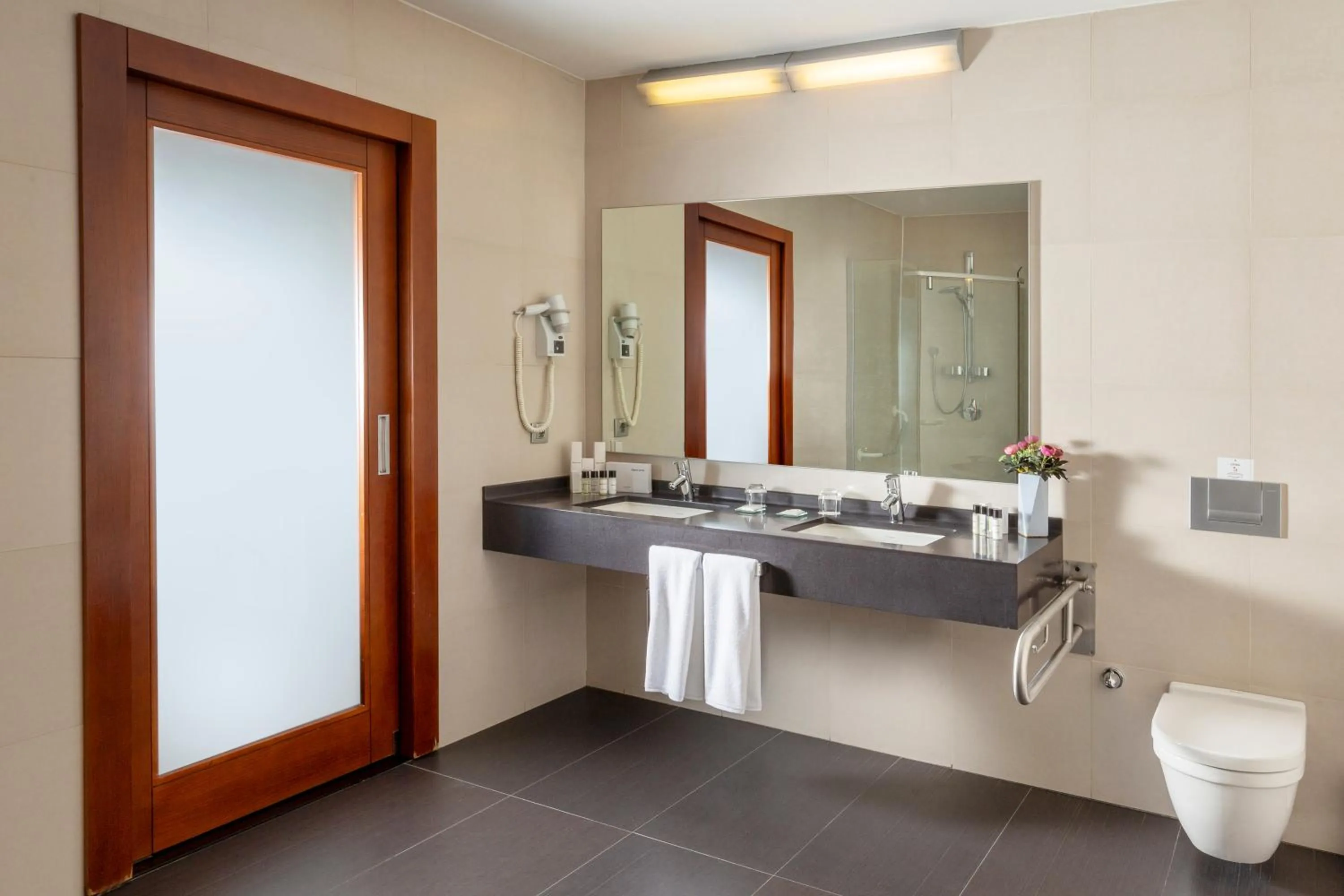 Toilet in Nippon Hotel