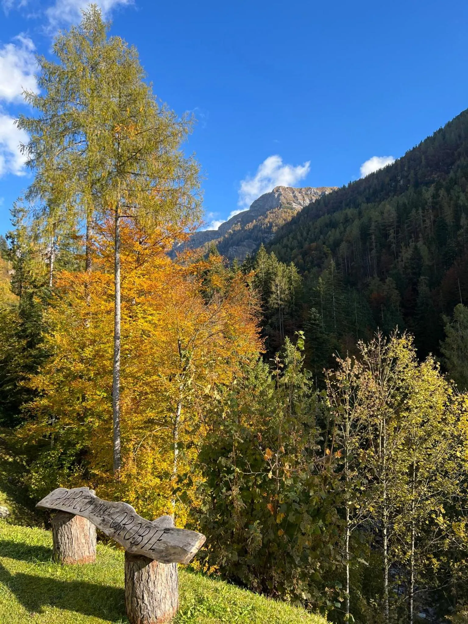 Garden in Orobie Alps Resort
