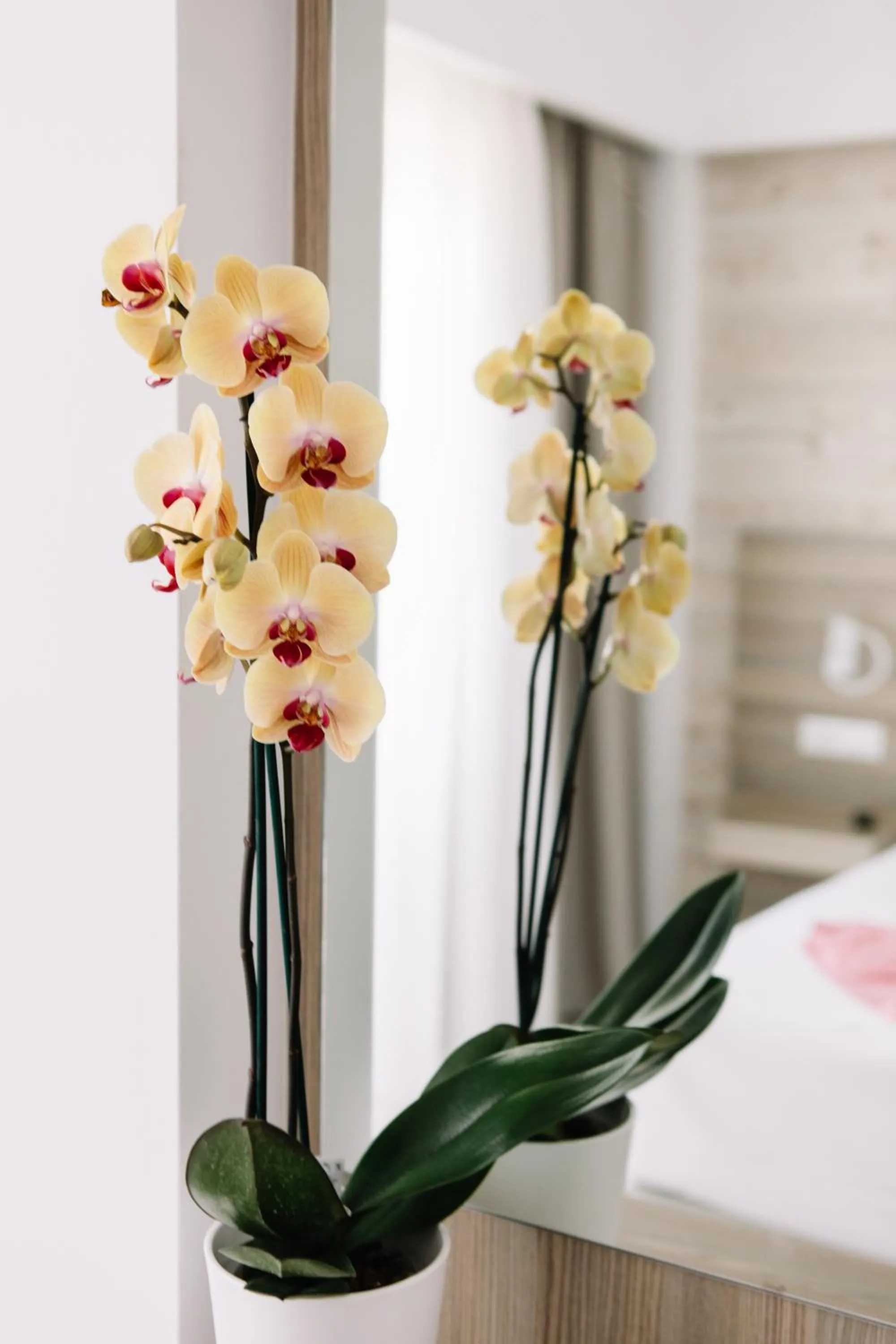 Decorative detail in Orpheus Studios