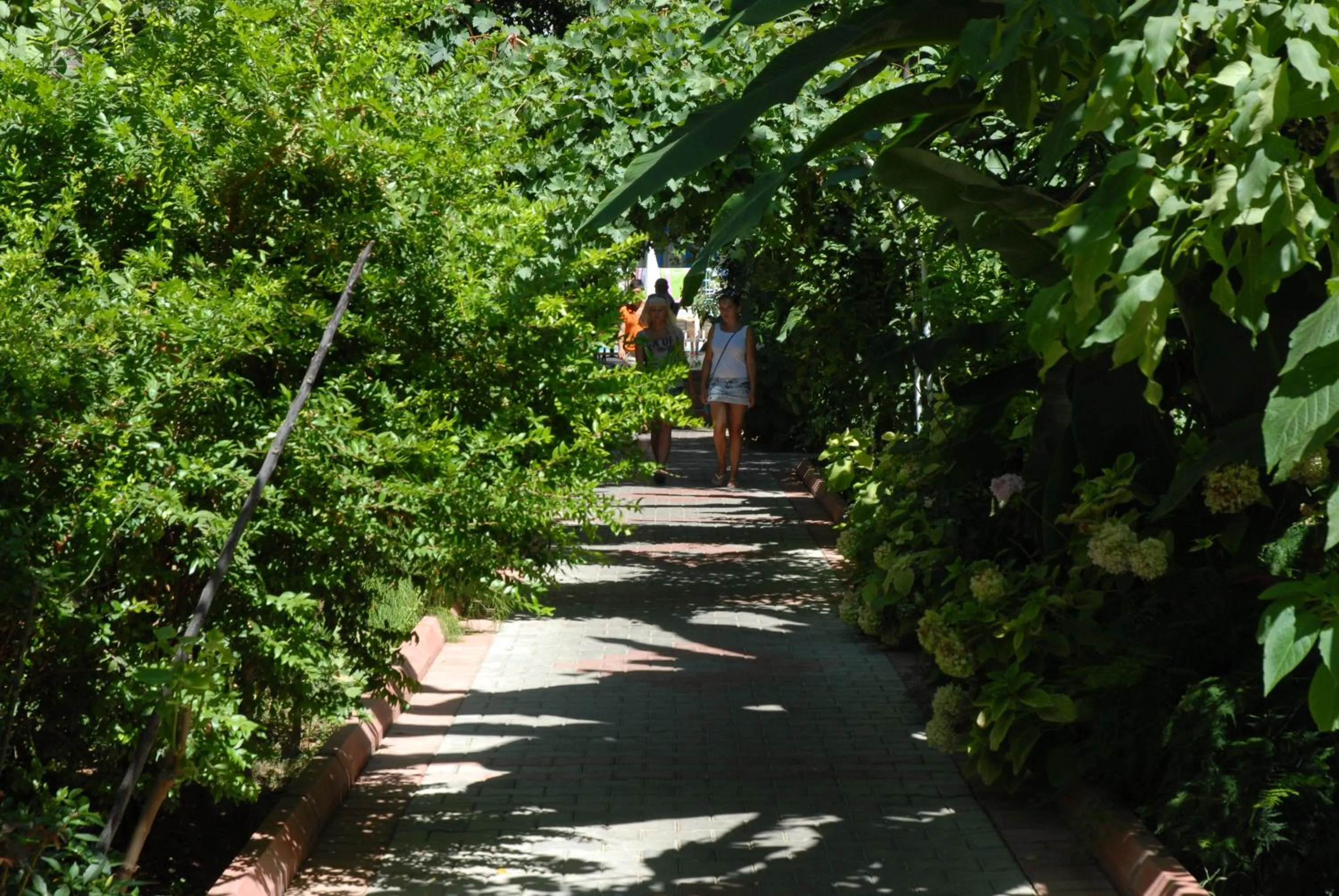Natural landscape in Merhaba Hotel