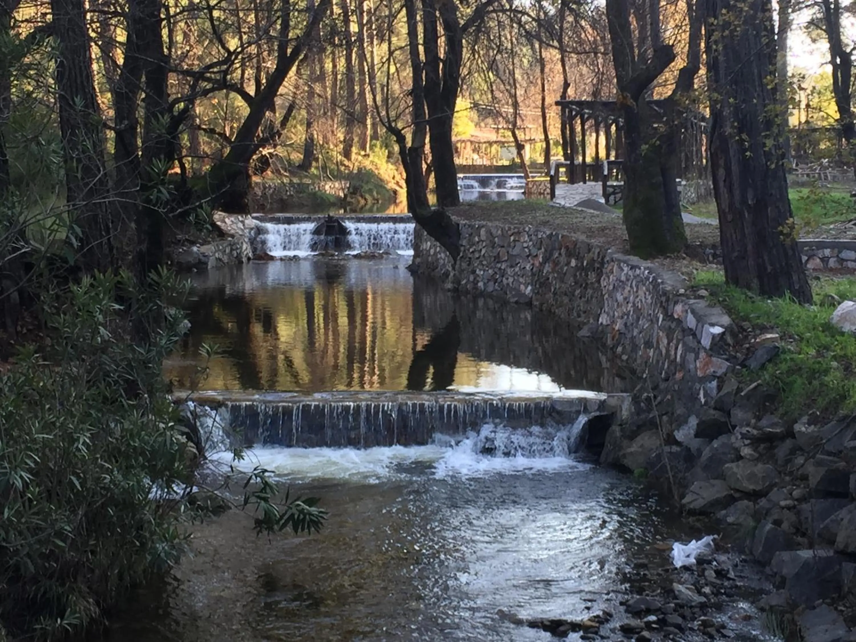 Natural landscape in Dalya Life