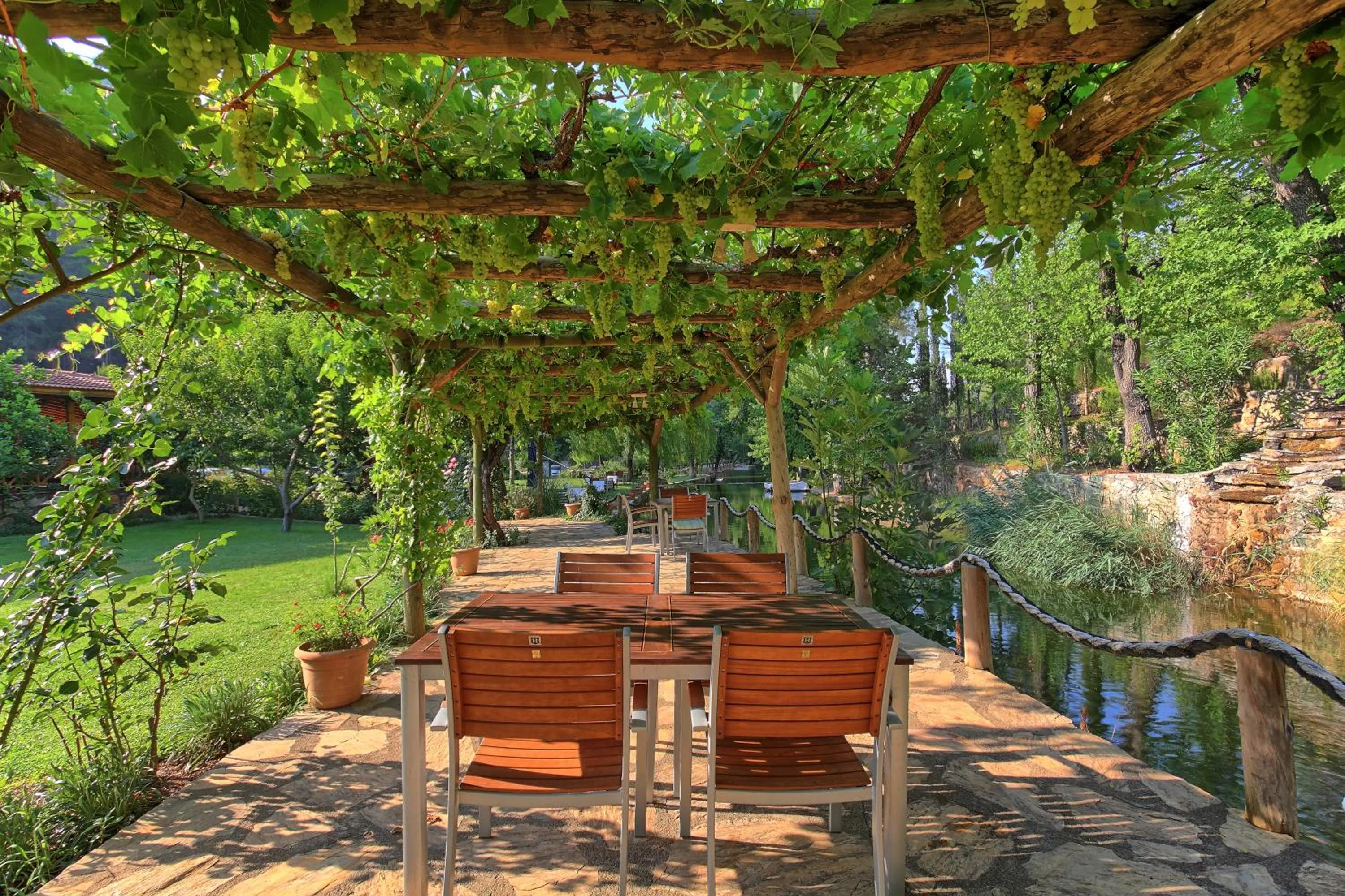 Restaurant/places to eat in Dalya Life