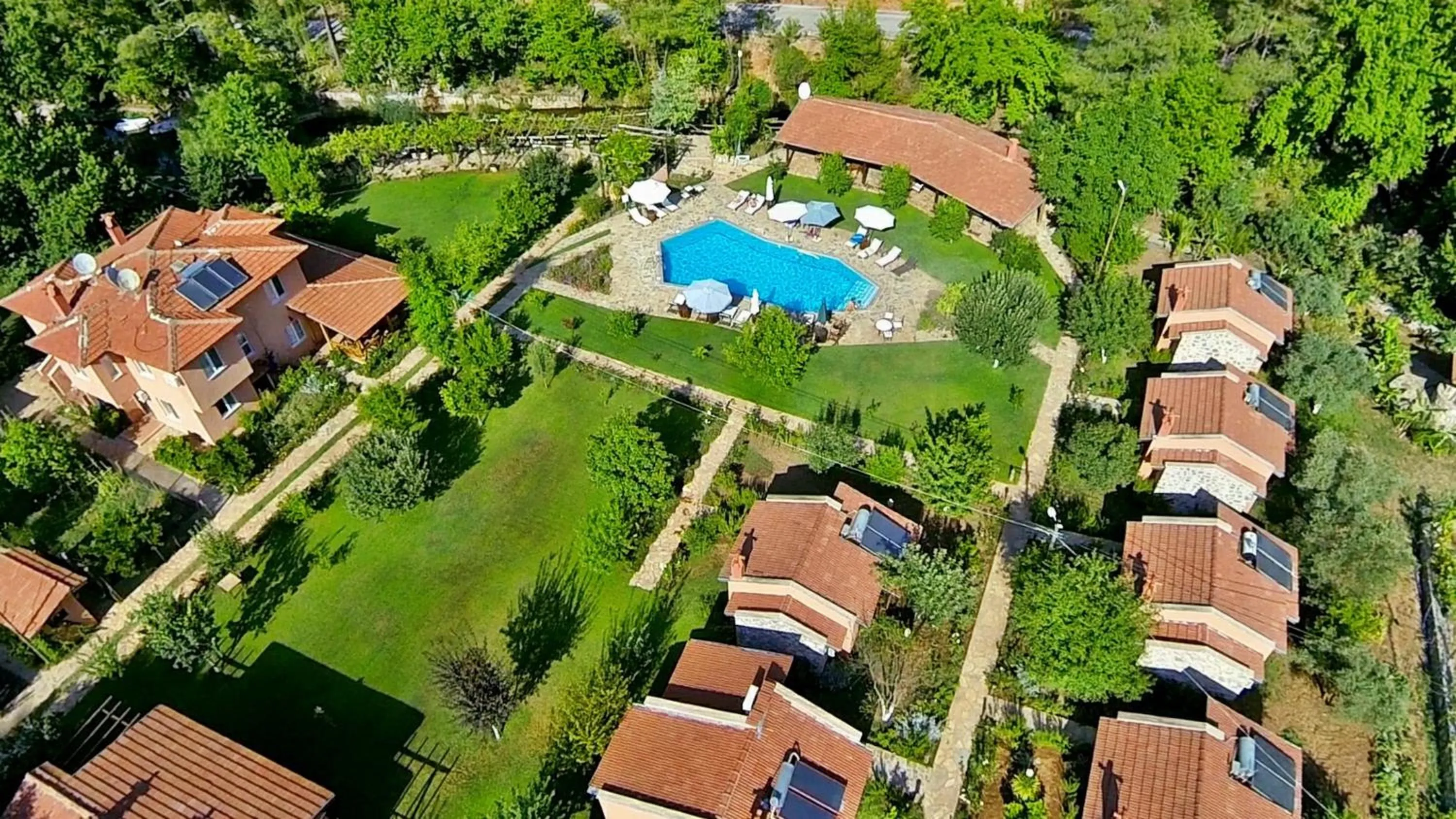 Bird's eye view in Dalya Life