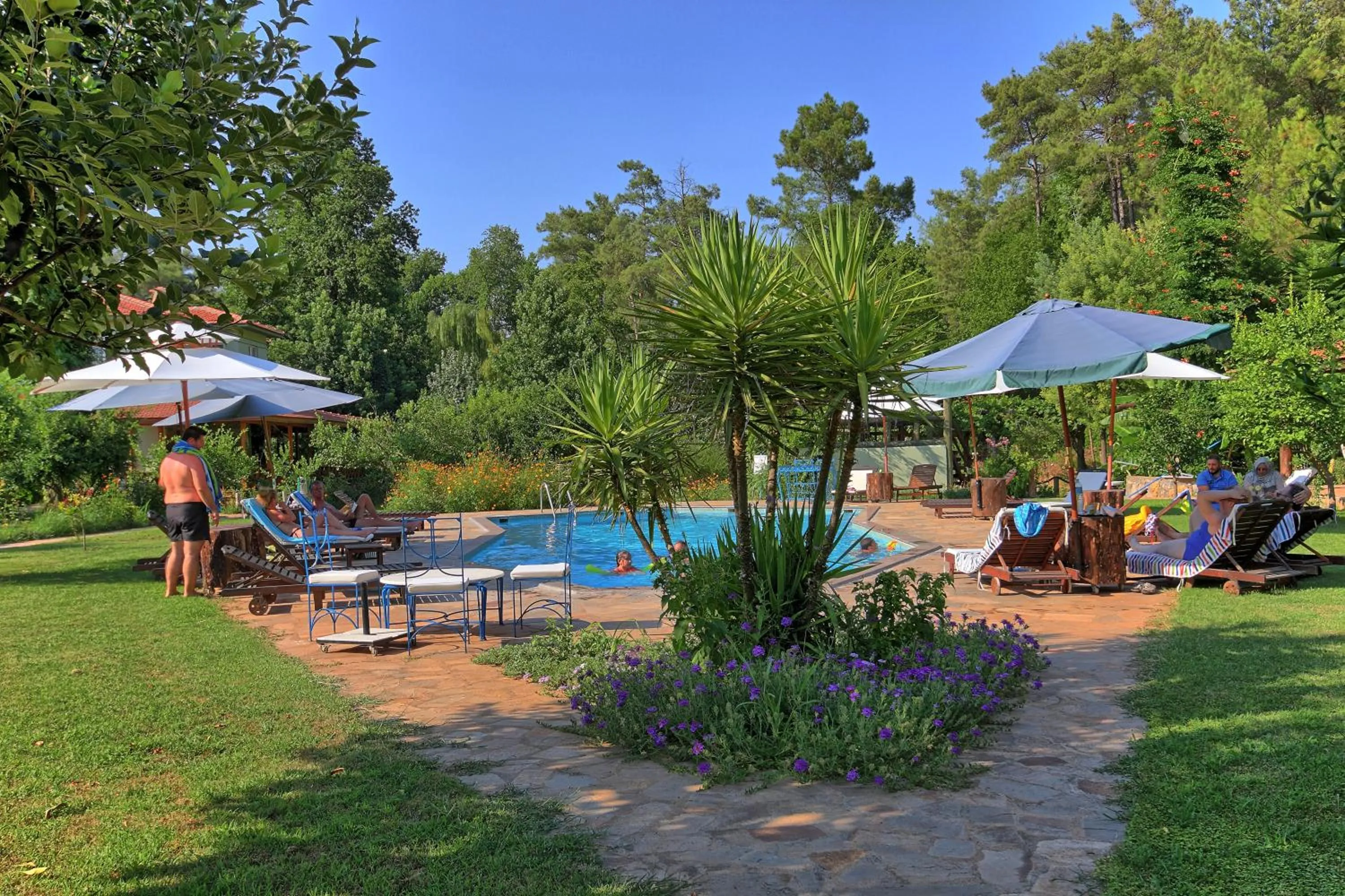 Swimming pool in Dalya Life