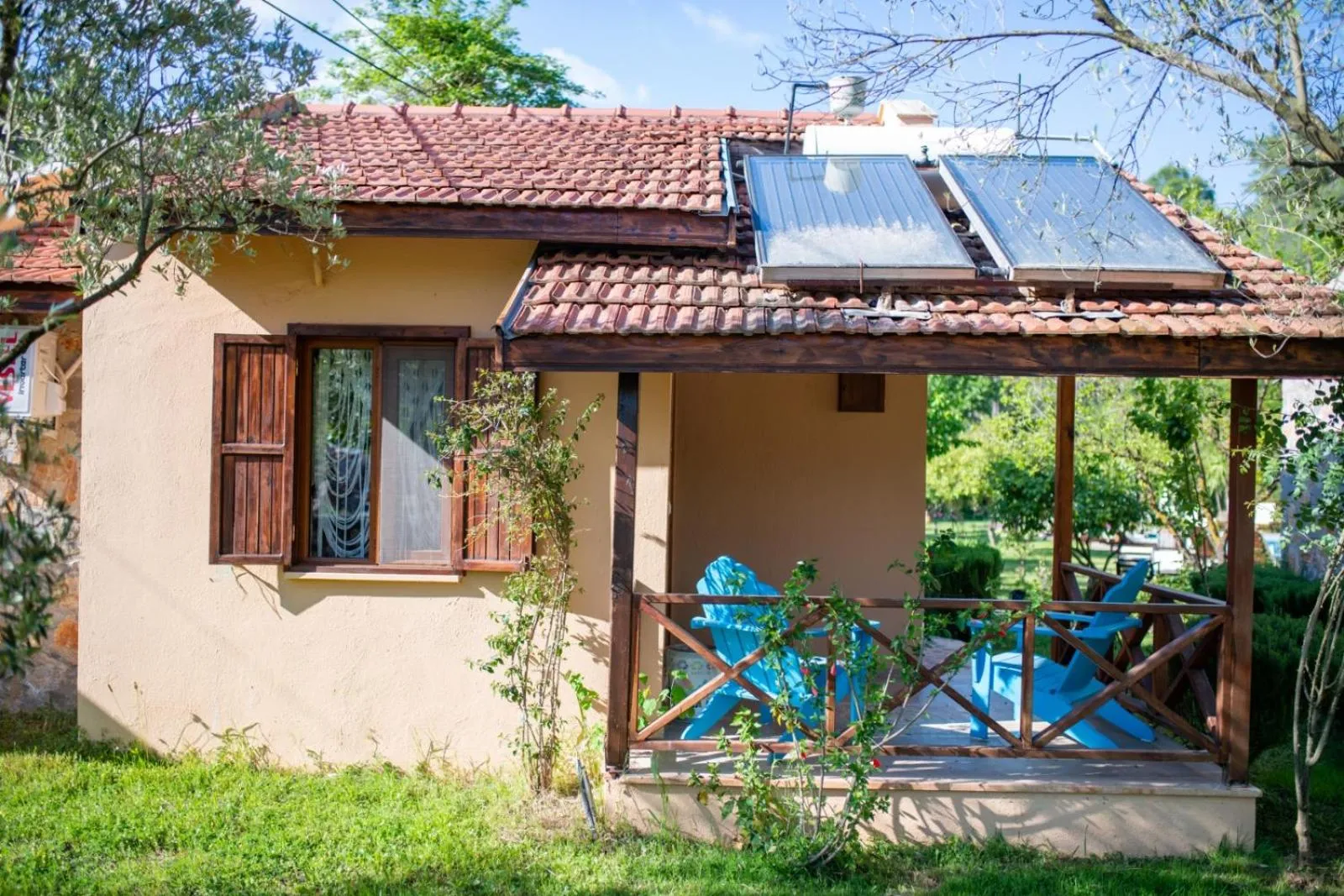 Property building in Dalya Life