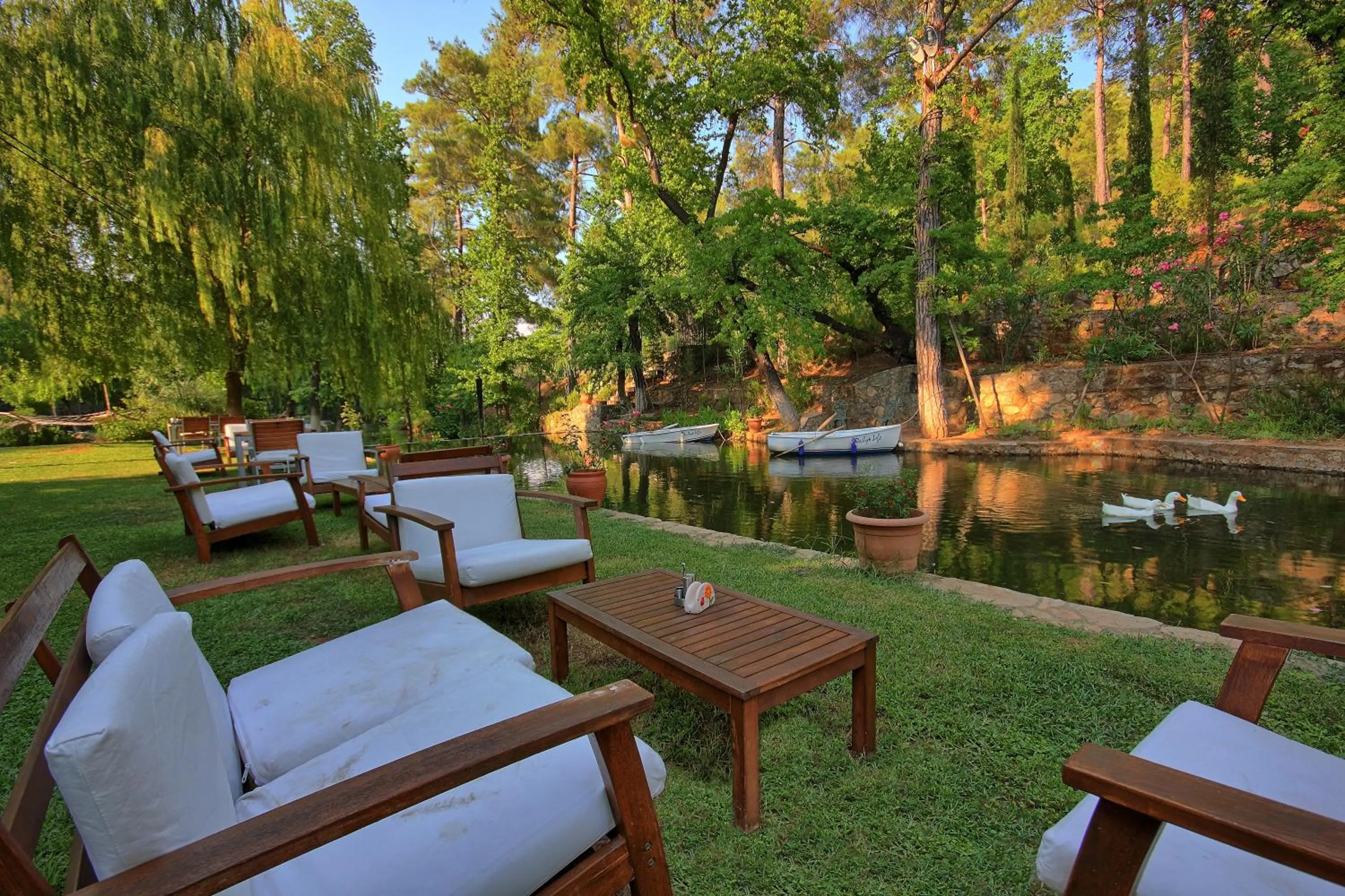 Natural landscape in Dalya Life