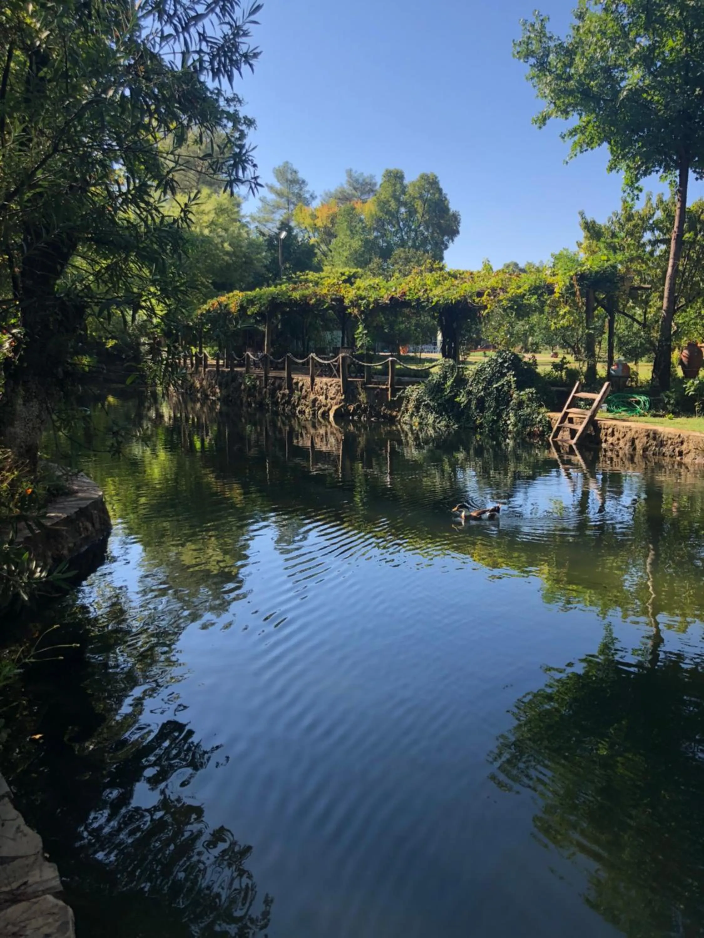 Restaurant/places to eat in Dalya Life