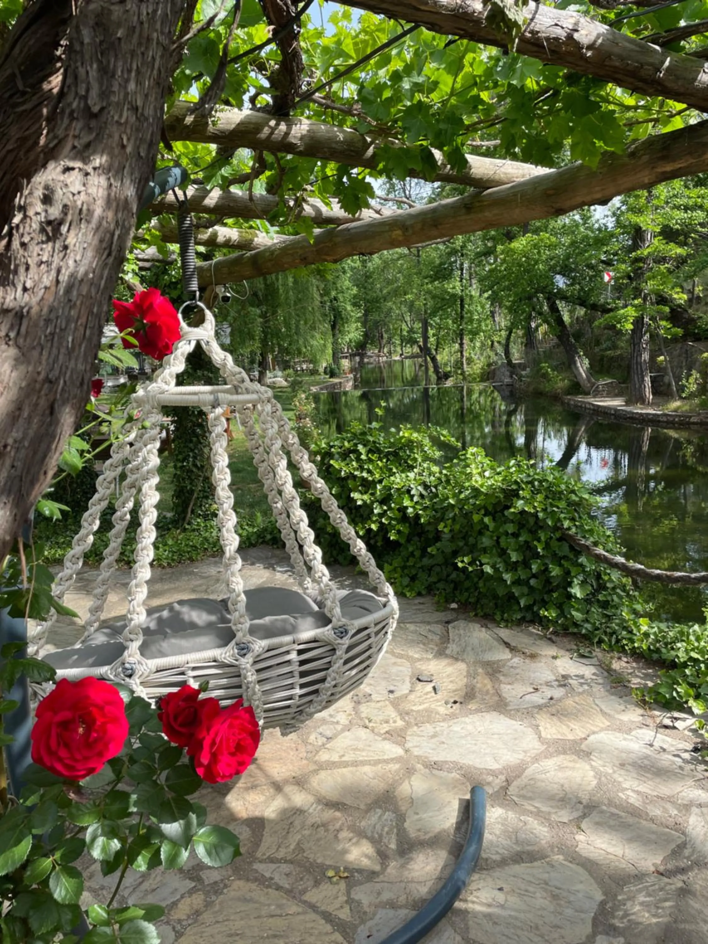 Restaurant/places to eat in Dalya Life