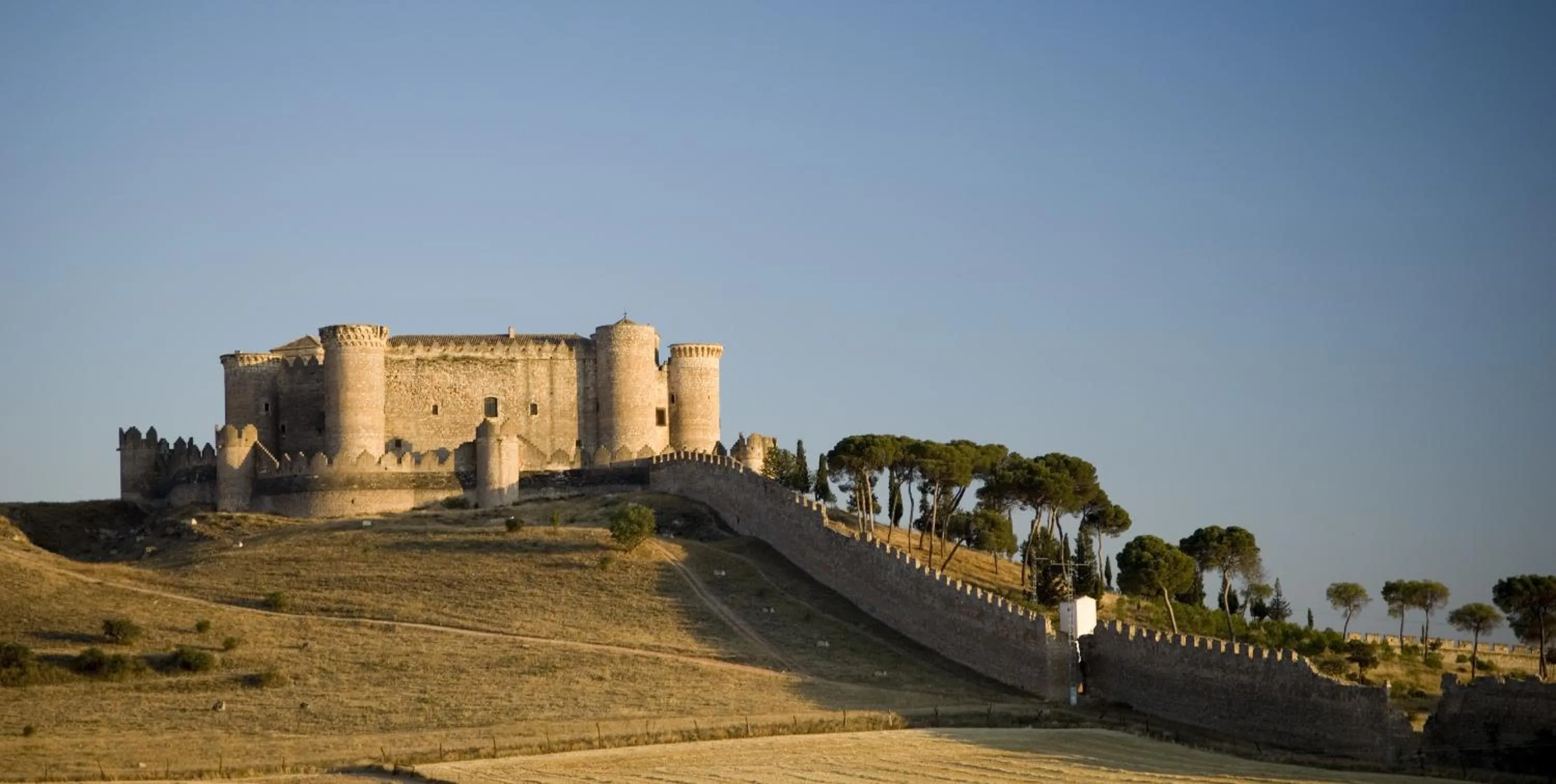 Nearby landmark in Hotel Palacio Buenavista