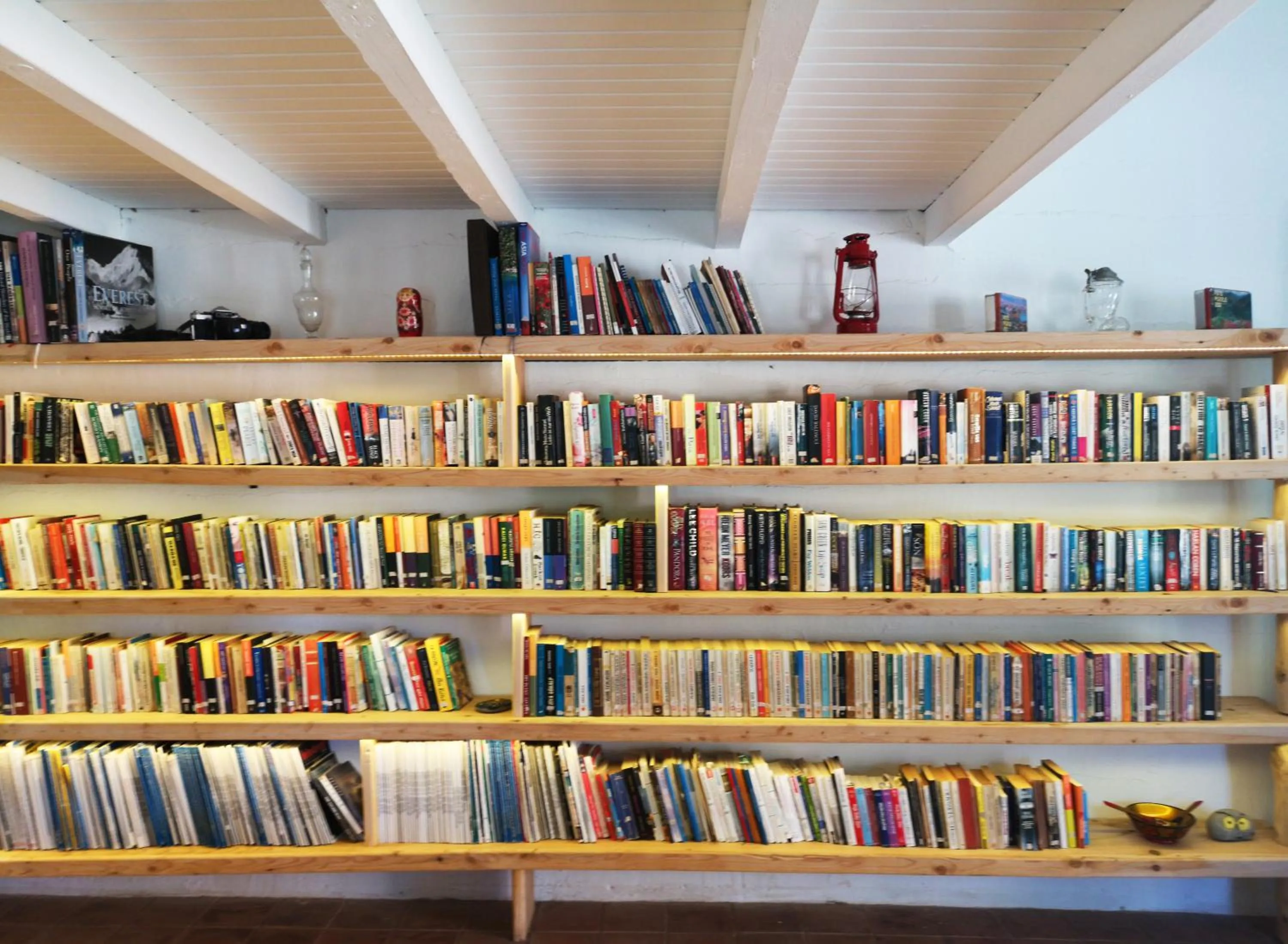 Library in Yonca Lodge