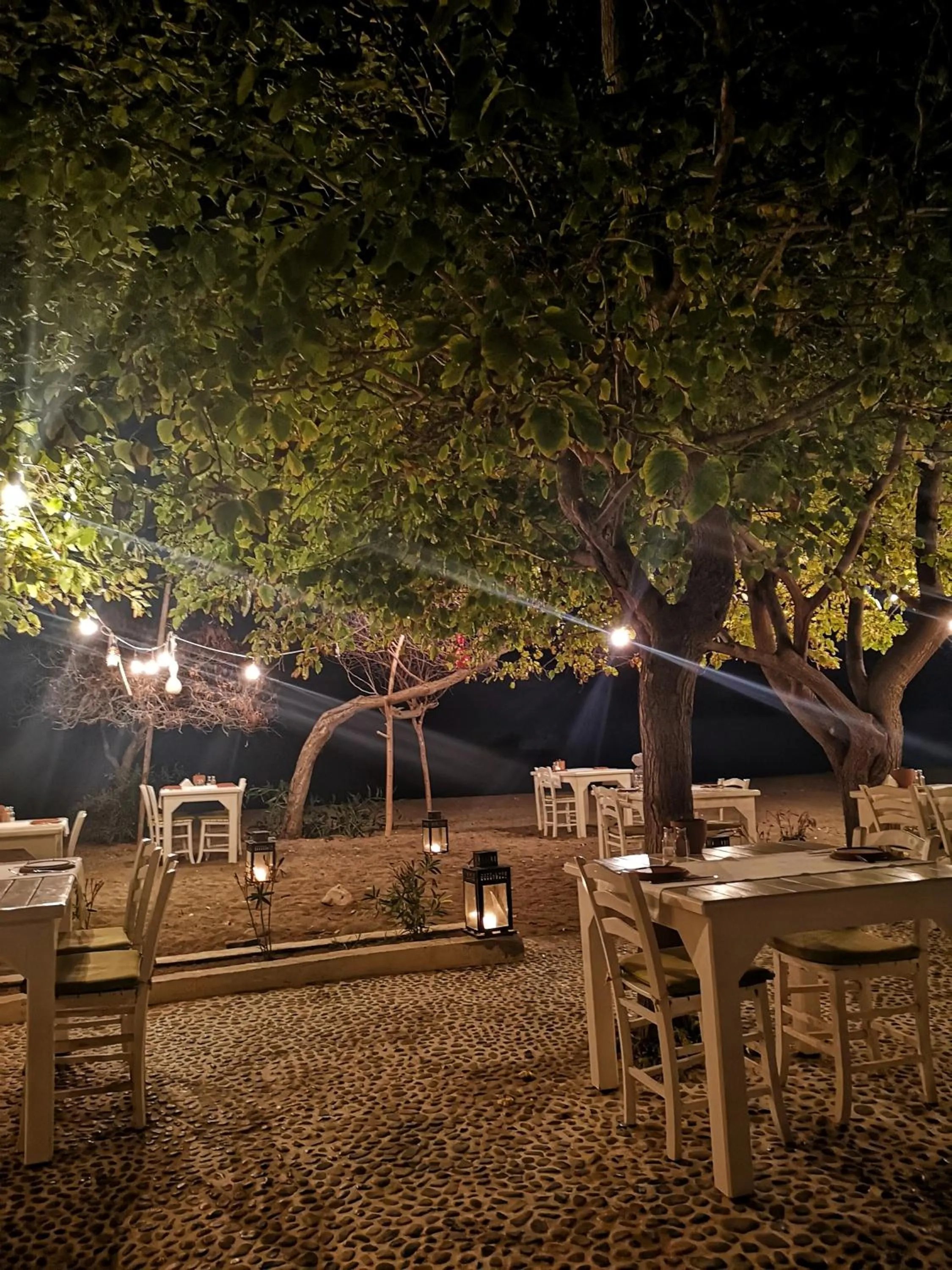 Restaurant/places to eat in Yonca Lodge