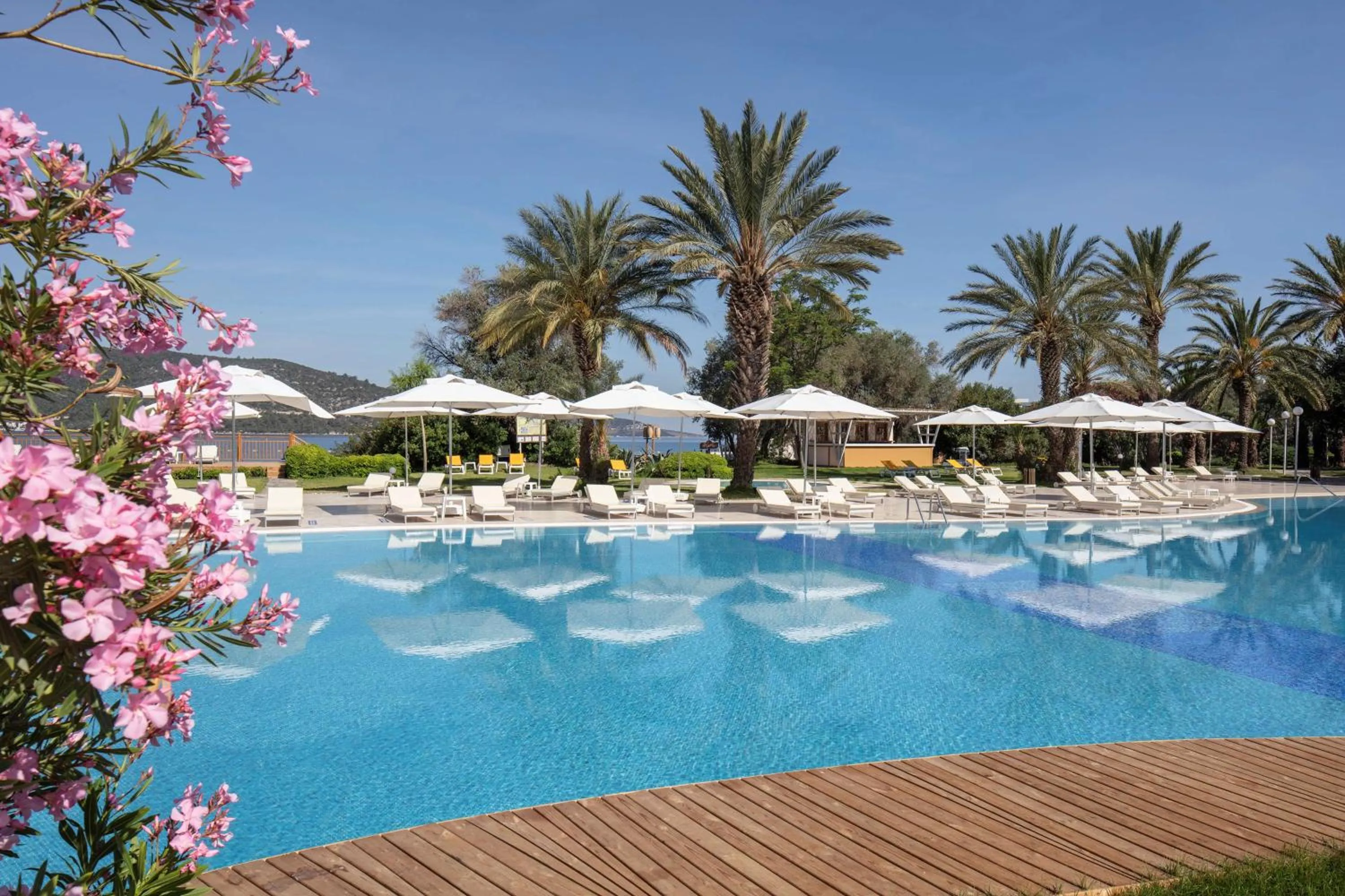 Pool view in DoubleTree by Hilton Bodrum Isil Club Ultra All-Inclusive Resort