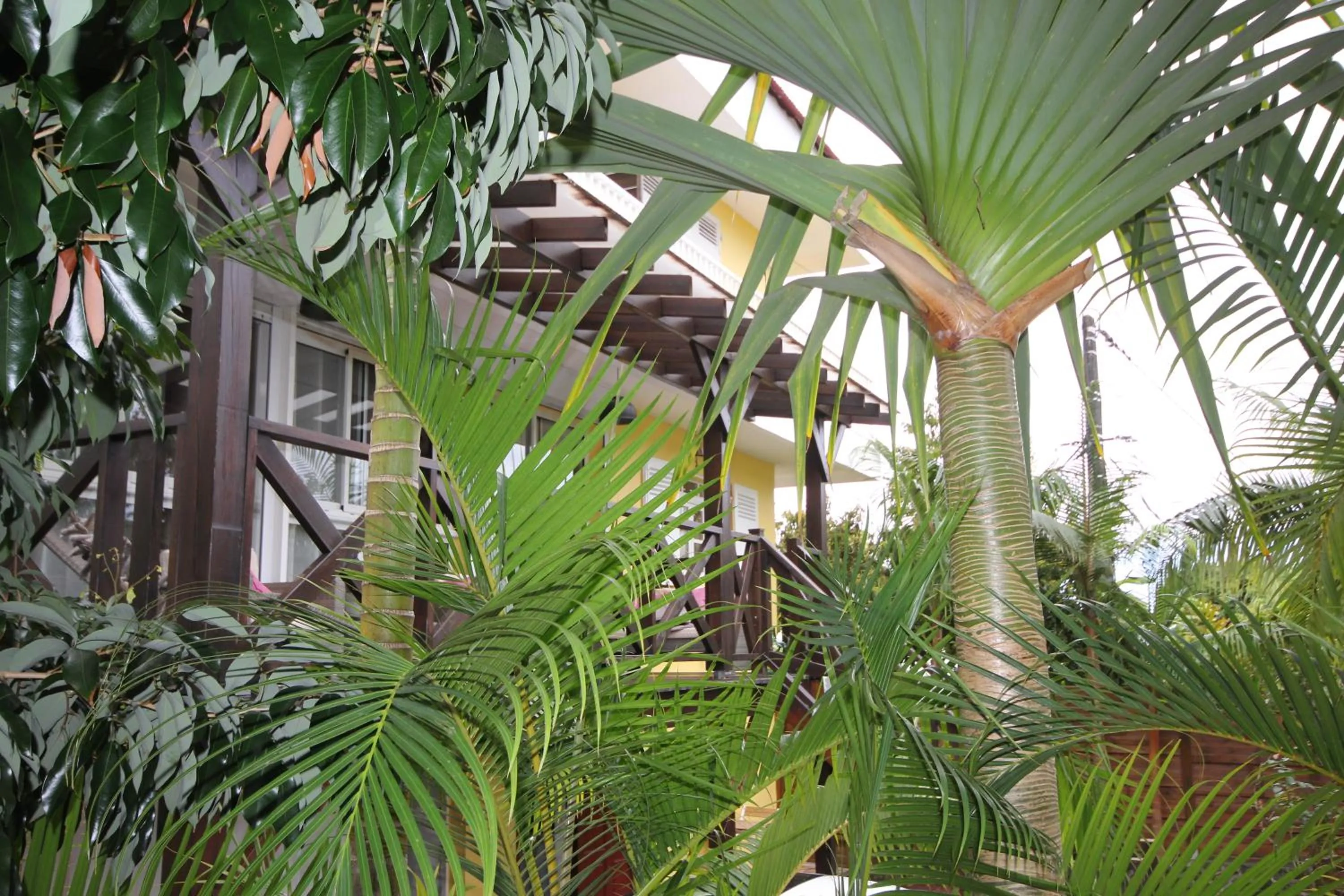 Garden in LE RUBINJO 2