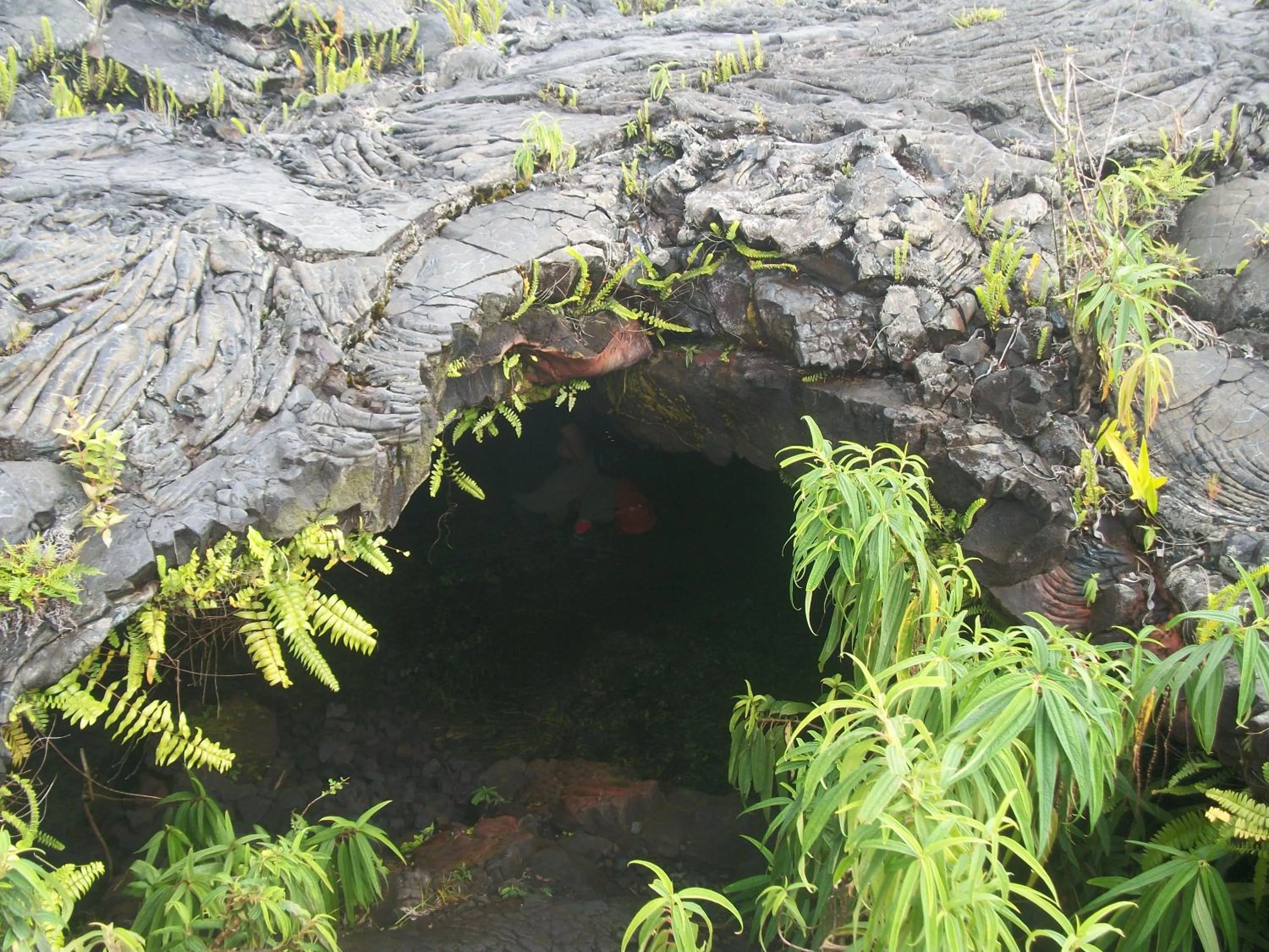 Off site in LE RUBINJO 2