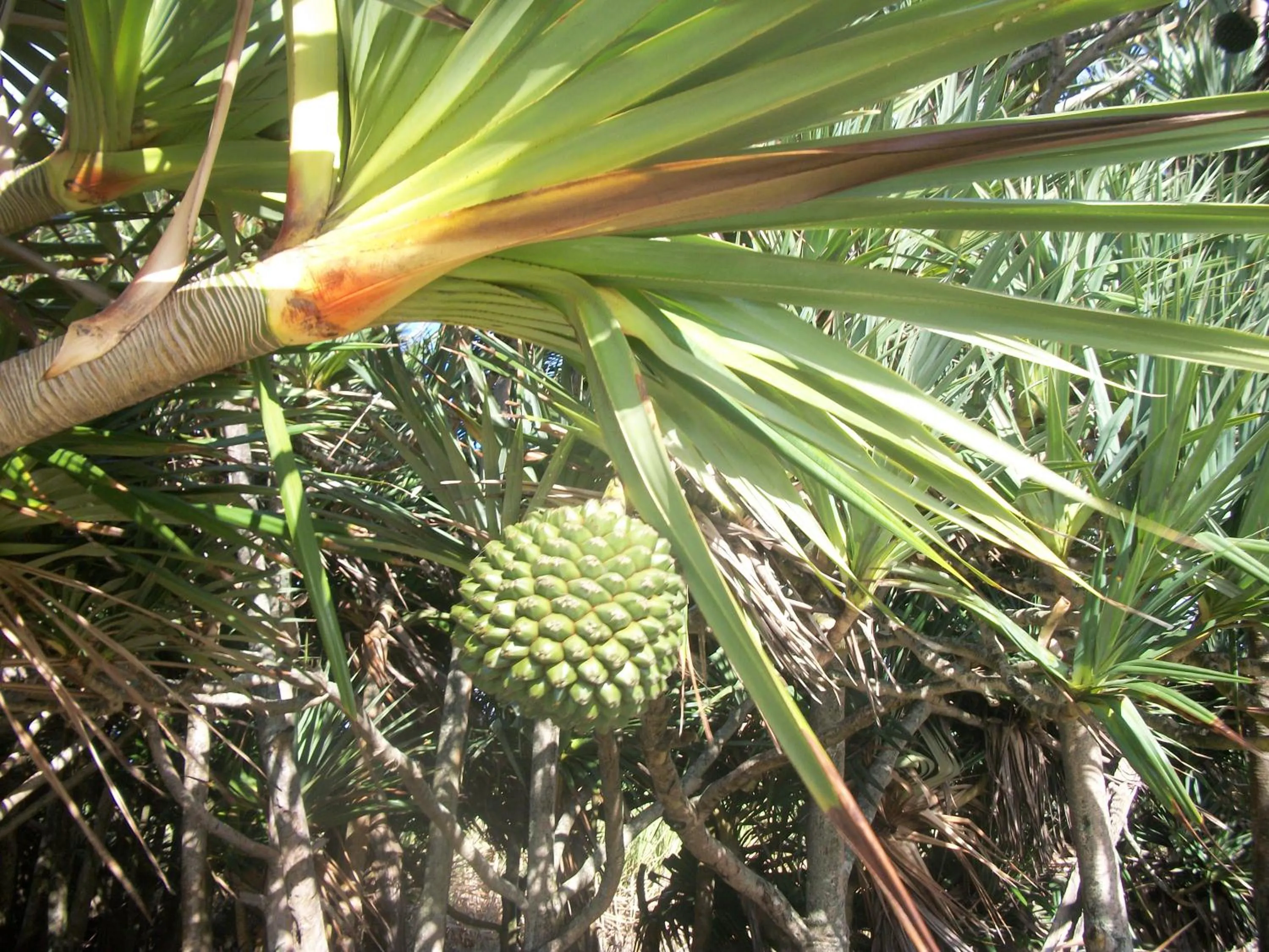 Off site in LE RUBINJO 2