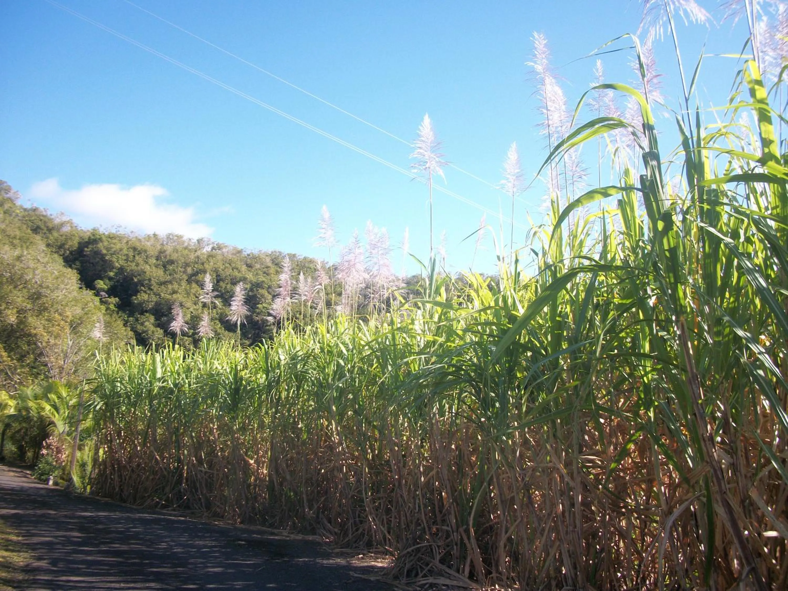 Off site in LE RUBINJO 2