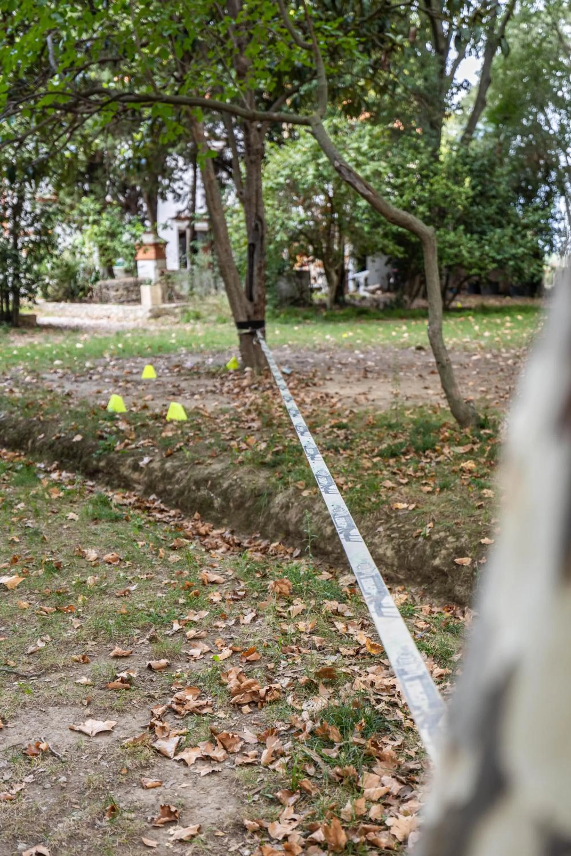 Garden in Chambres d hôtes du Castell de Blés