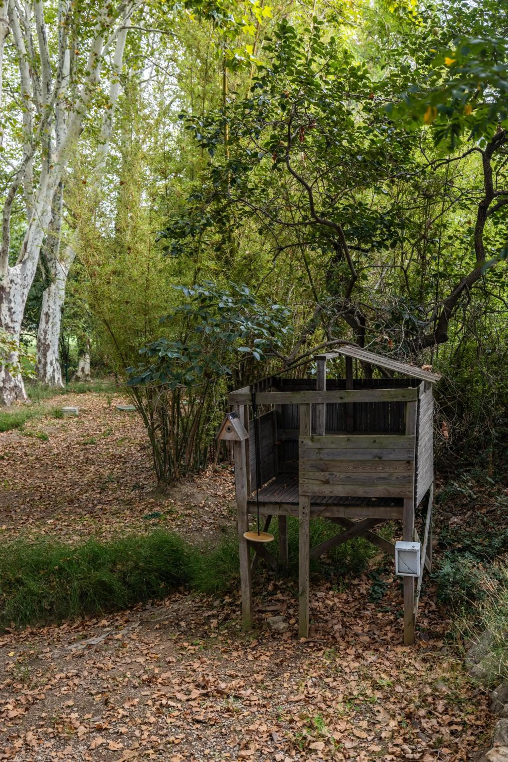 Garden in Chambres d hôtes du Castell de Blés