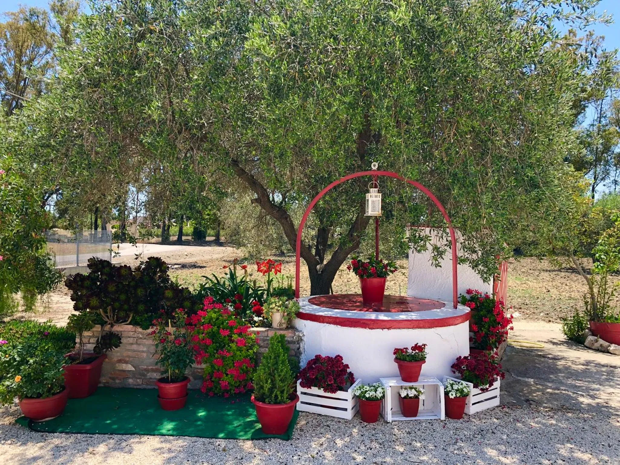 Spring in Villa Cenzina