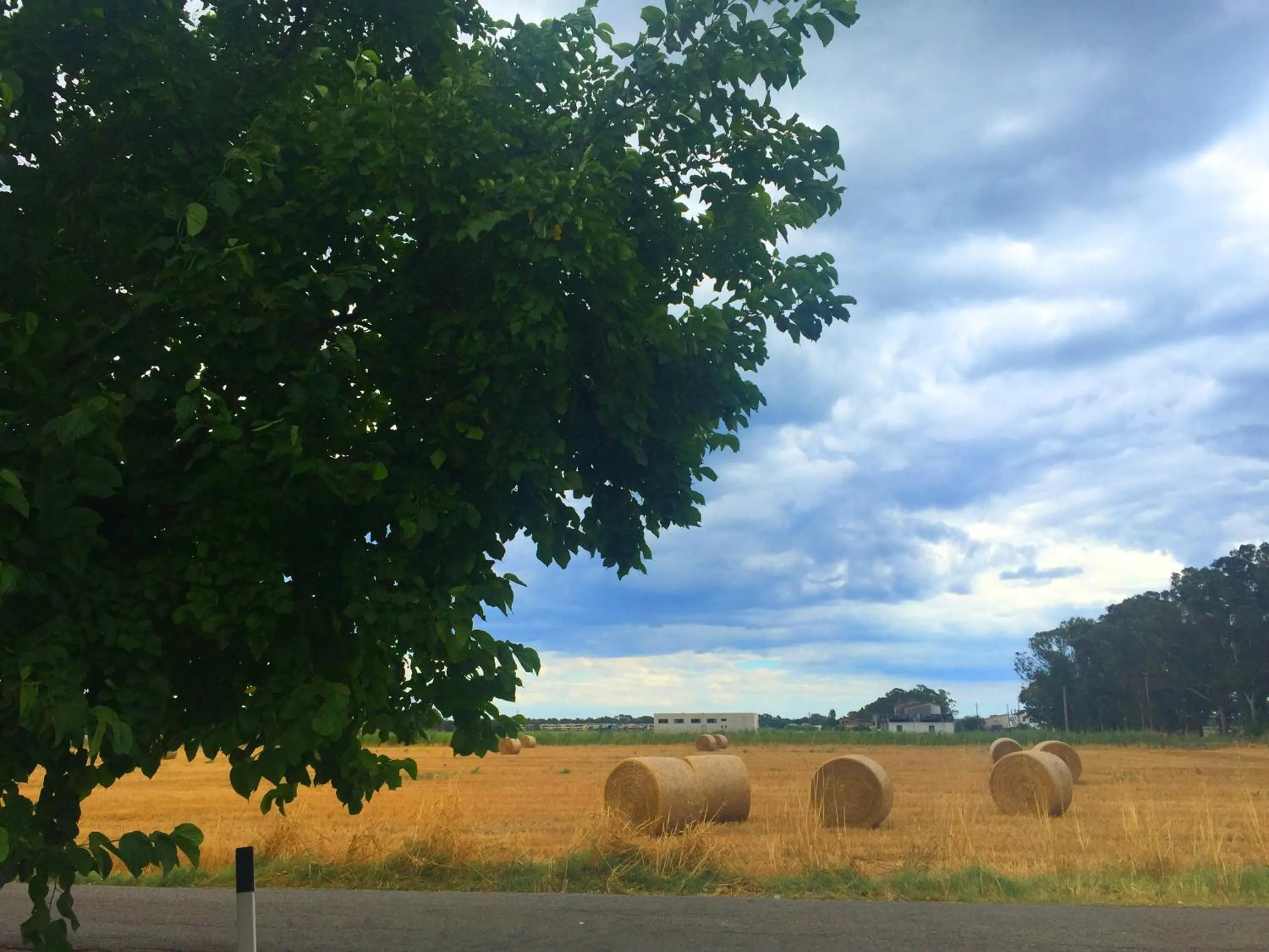 Street view in Villa Cenzina