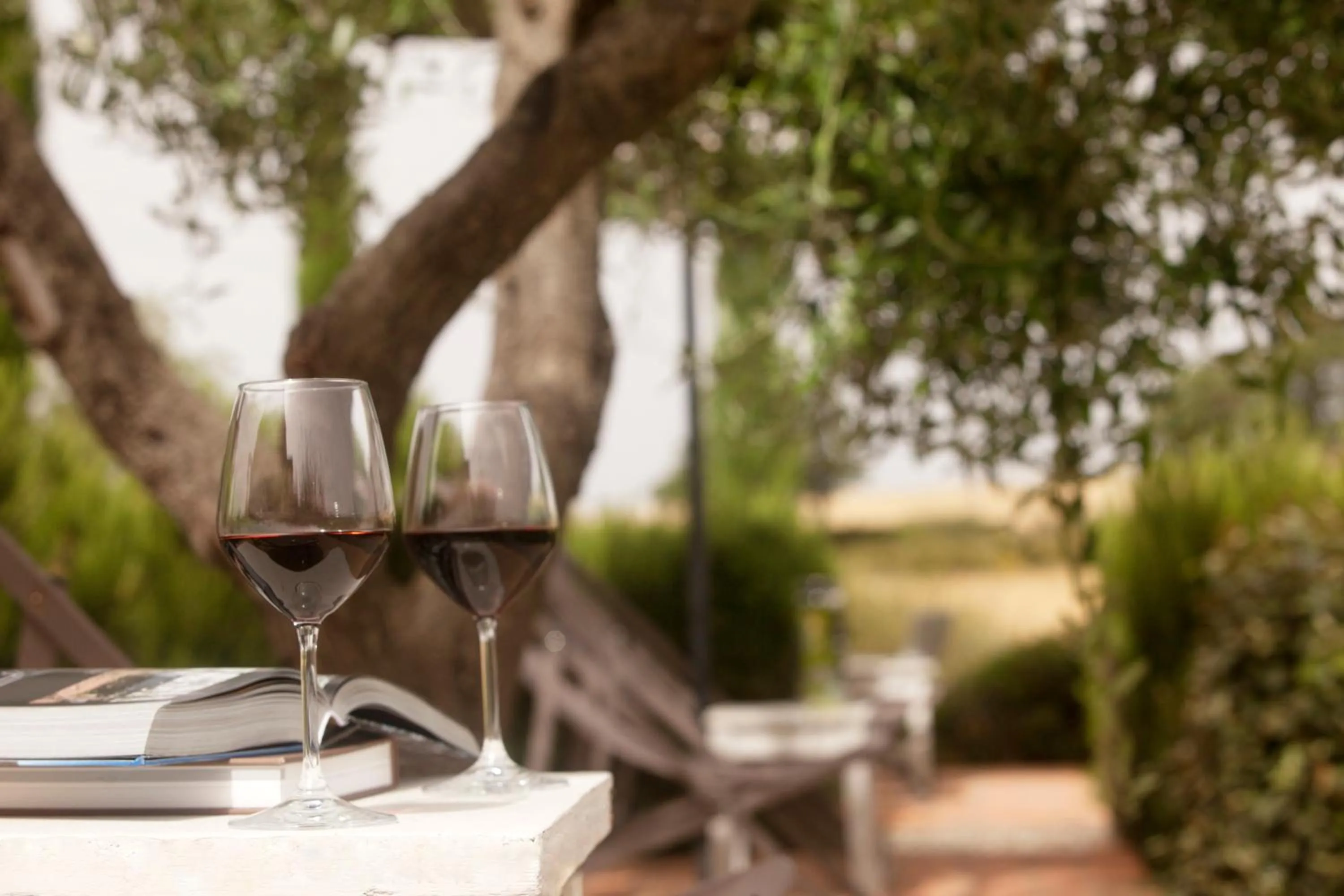 Garden in Casale Sterpeti