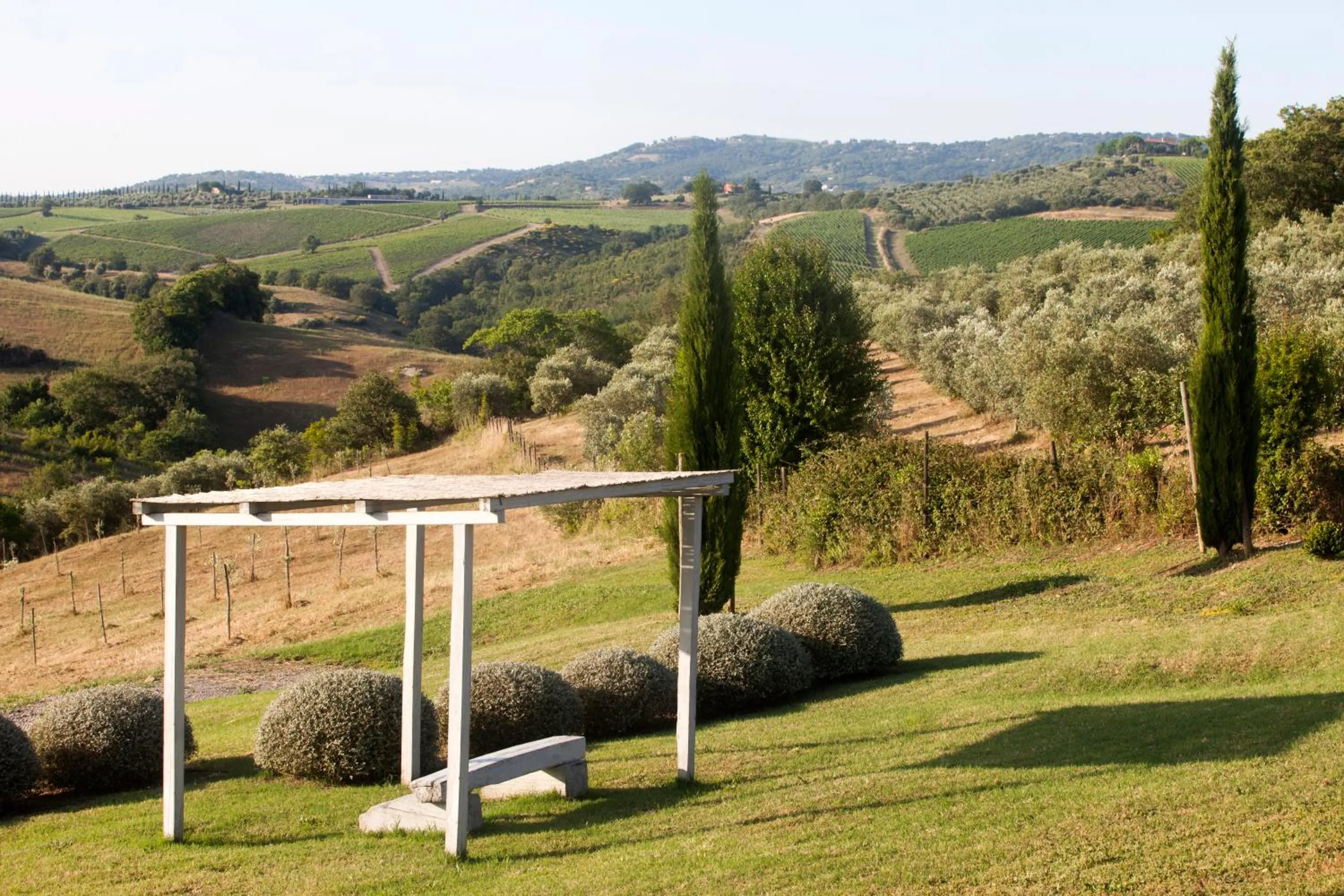 Garden in Casale Sterpeti