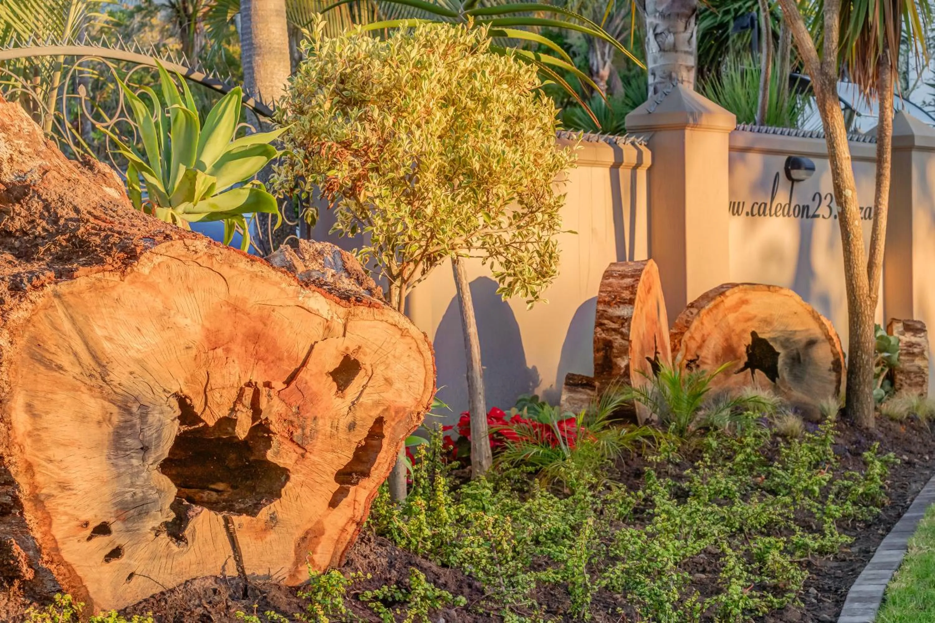 Decorative detail in Caledon 23 Guest House