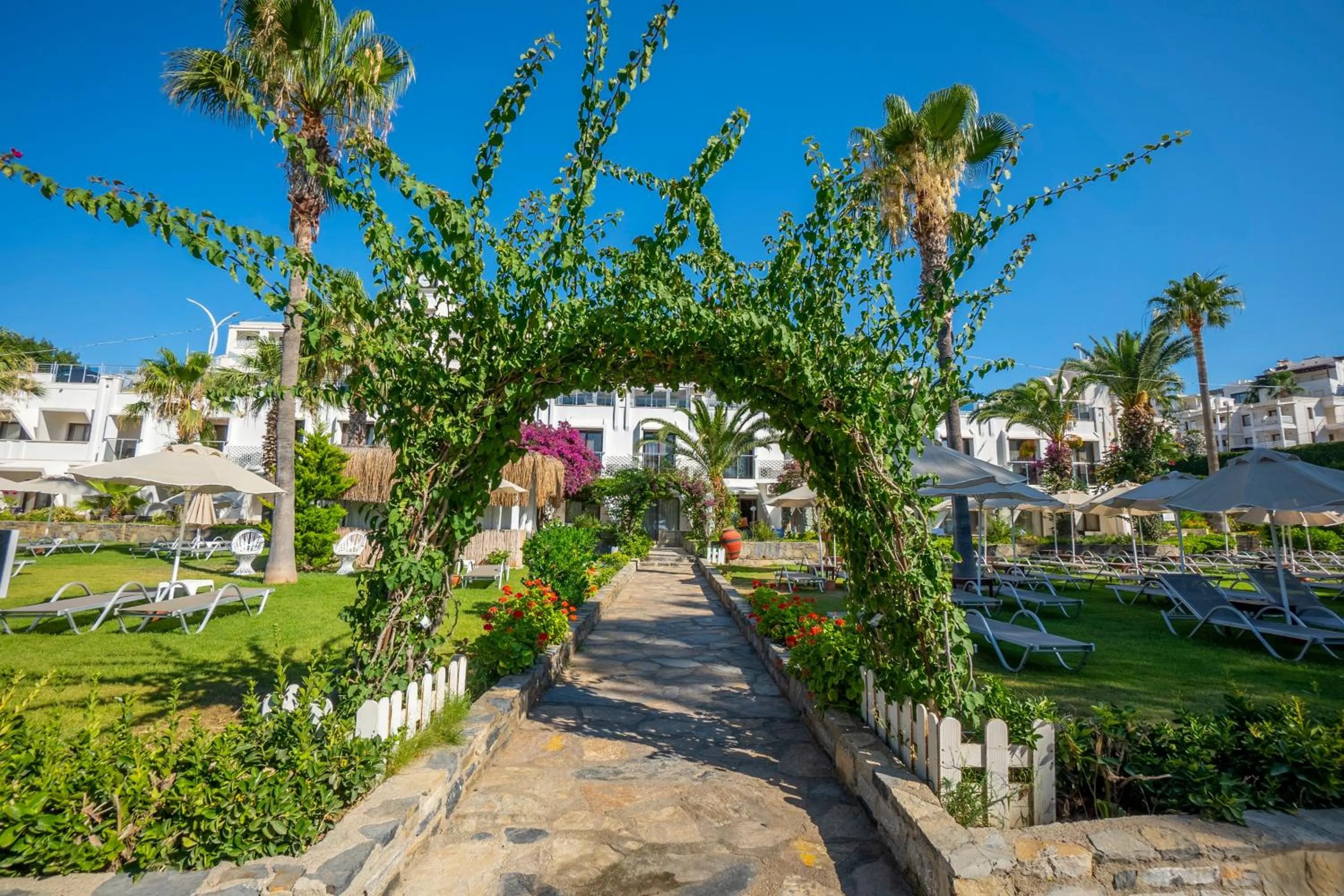 Garden in Azka Hotel