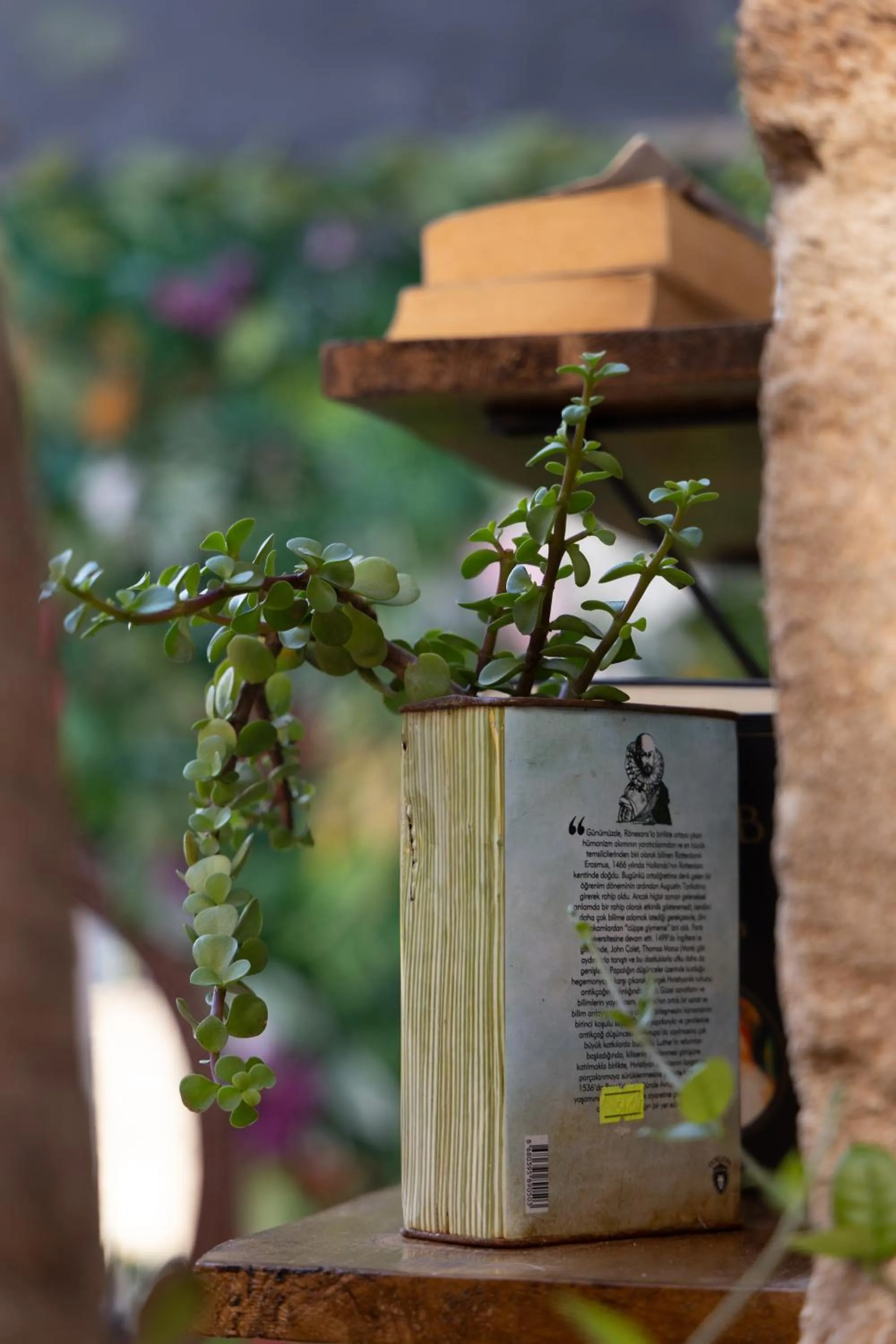 Restaurant/places to eat in Grand Erken Hotel