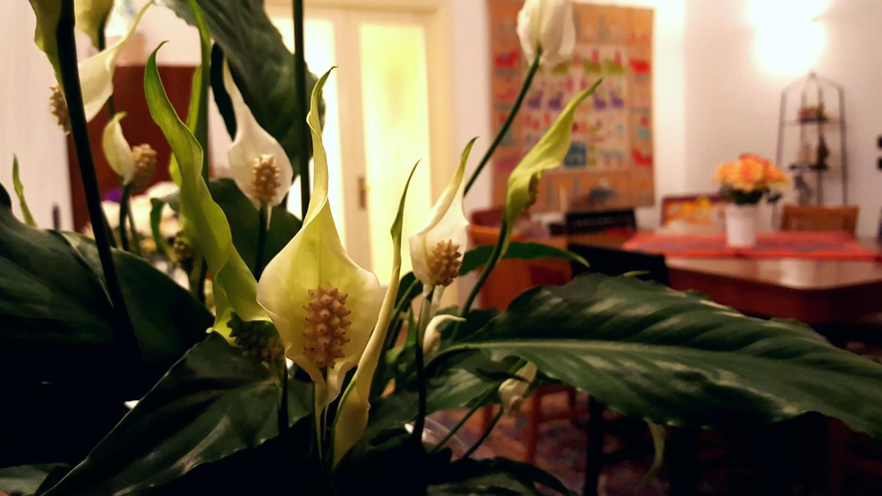 Communal lounge/ TV room in Attico Barocco