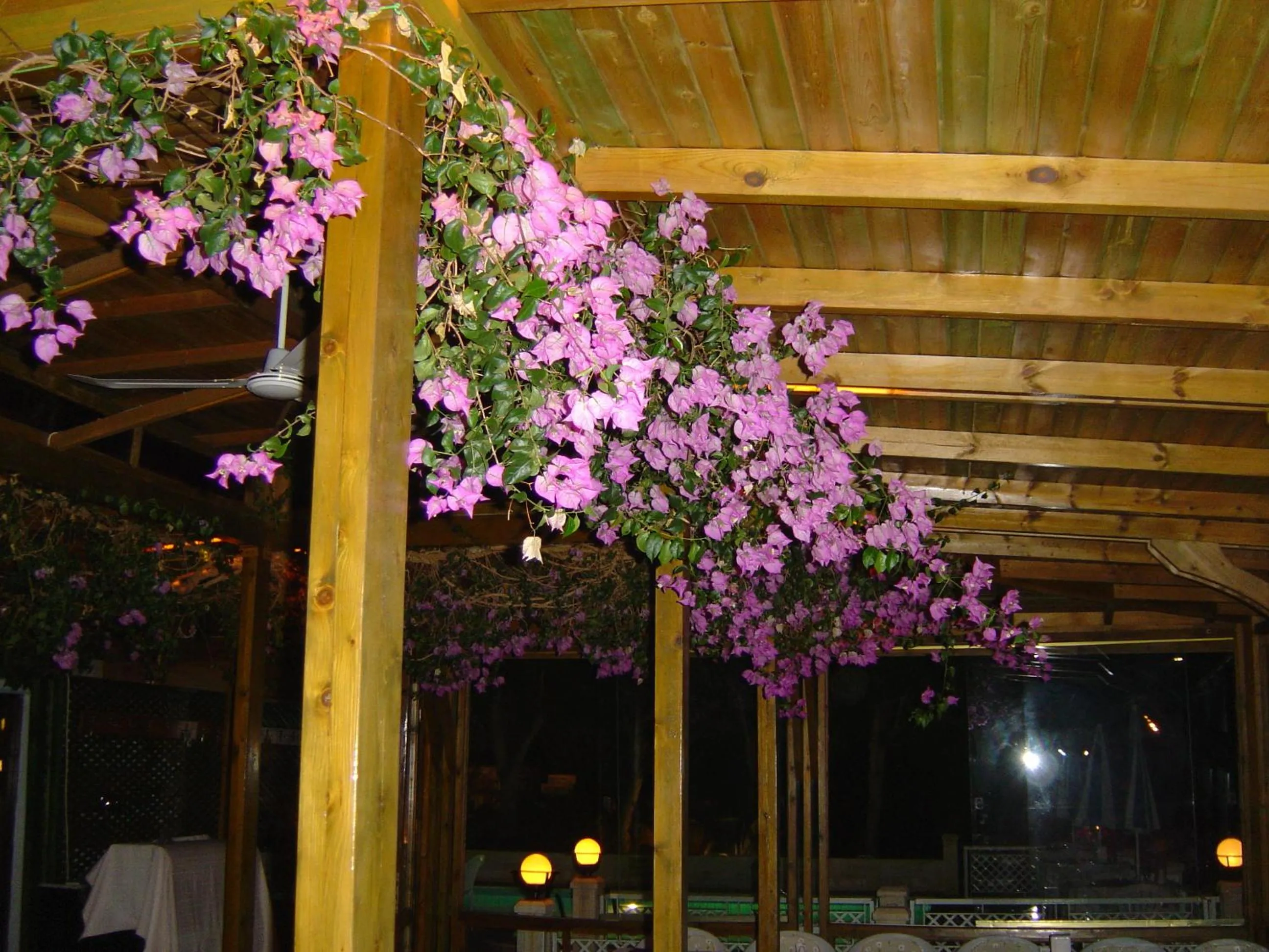 Restaurant/places to eat in Medusa Hotel