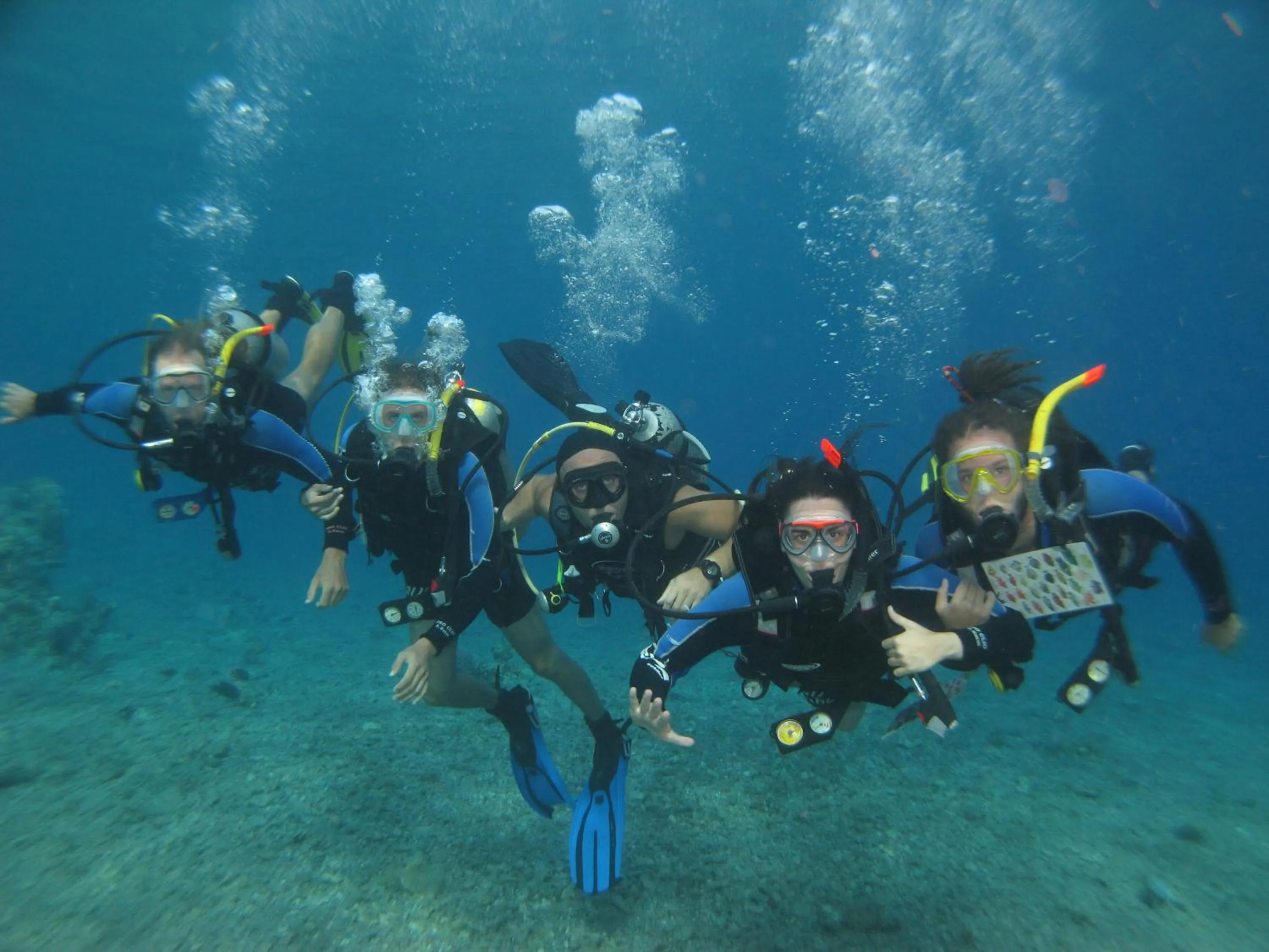 Diving in Medusa Hotel