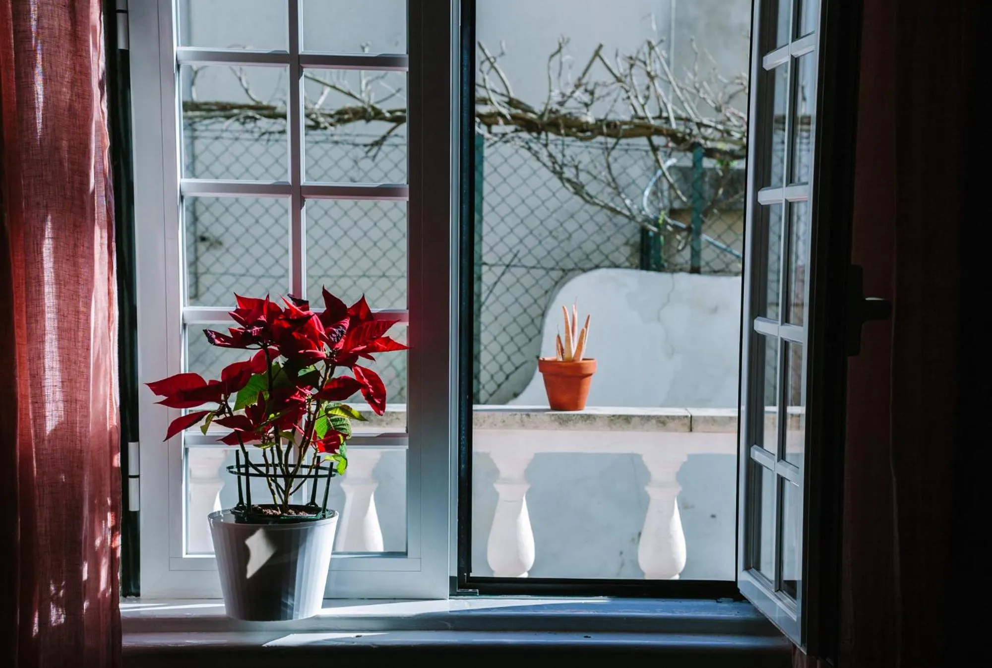 Street view in Eco Ljmonade Hostel