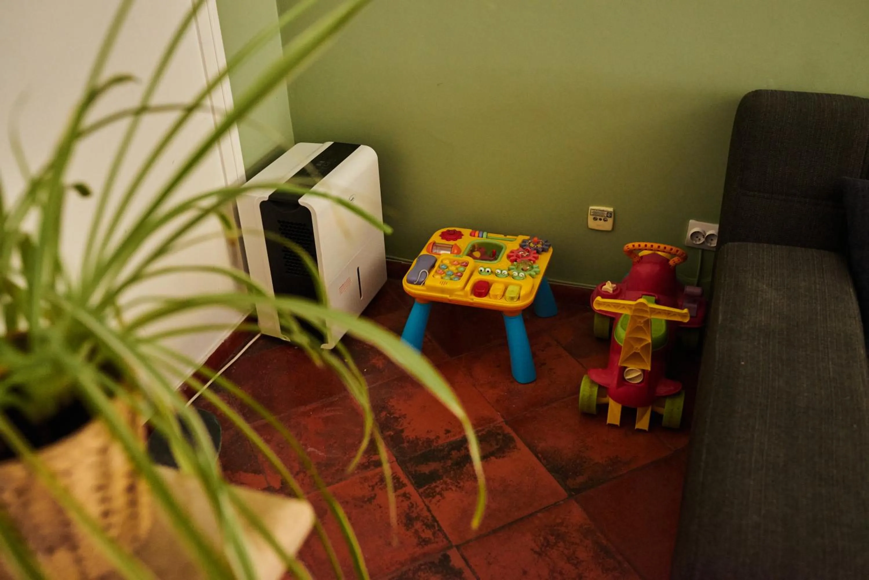 Area and facilities in Eco Ljmonade Hostel