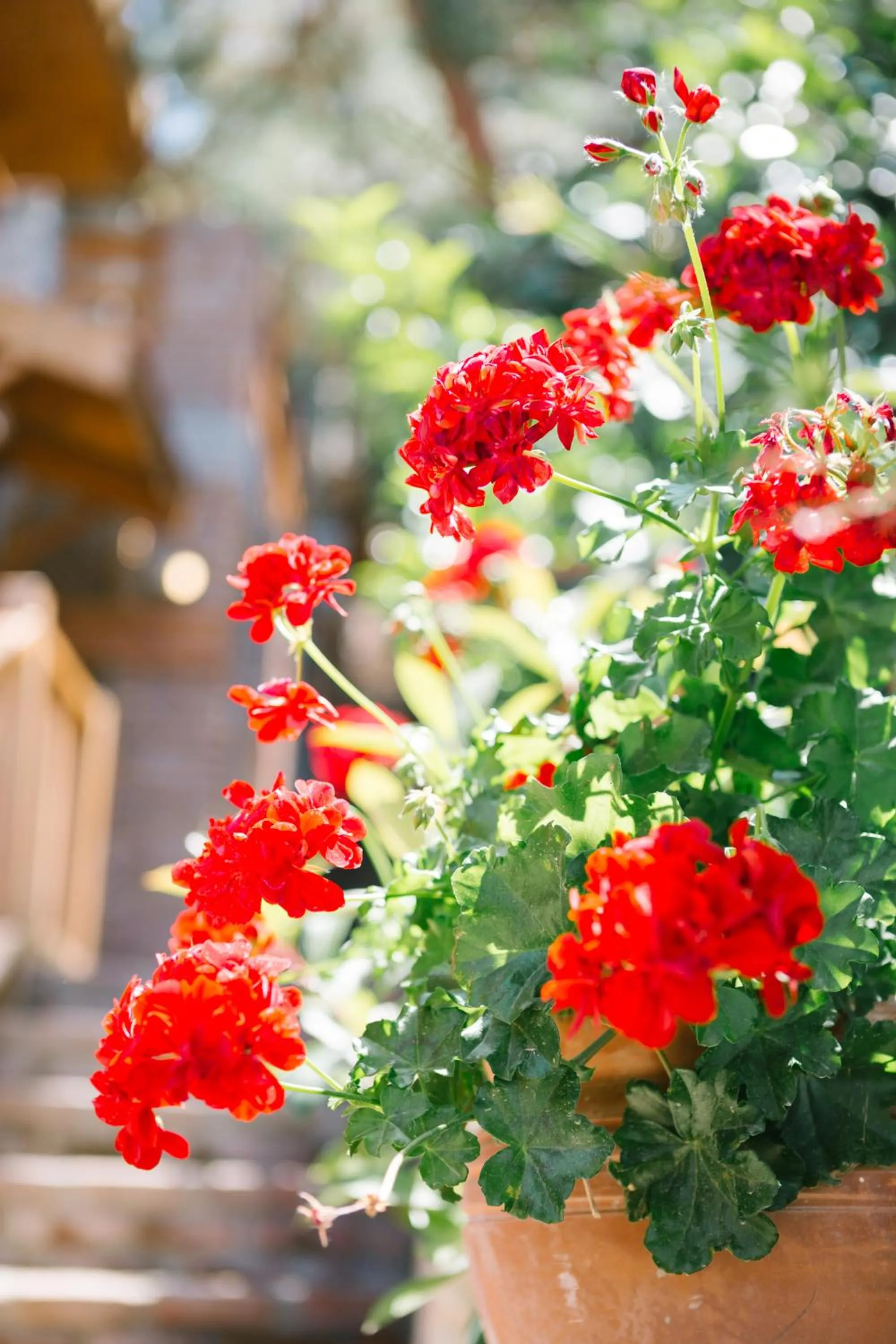 Day in Karia Bel - Adult Only +12