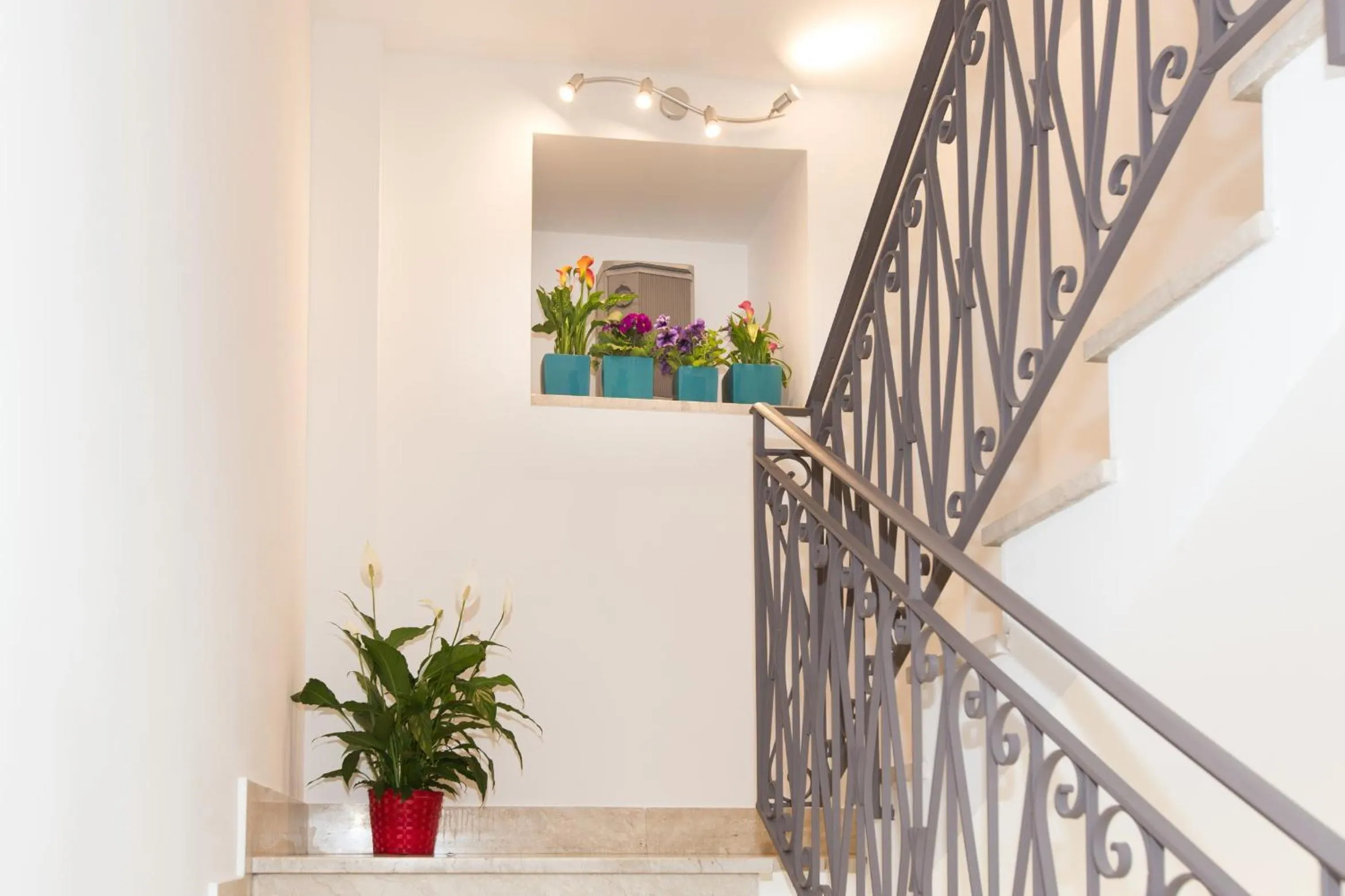 Other in B&B Albergo Sicilia