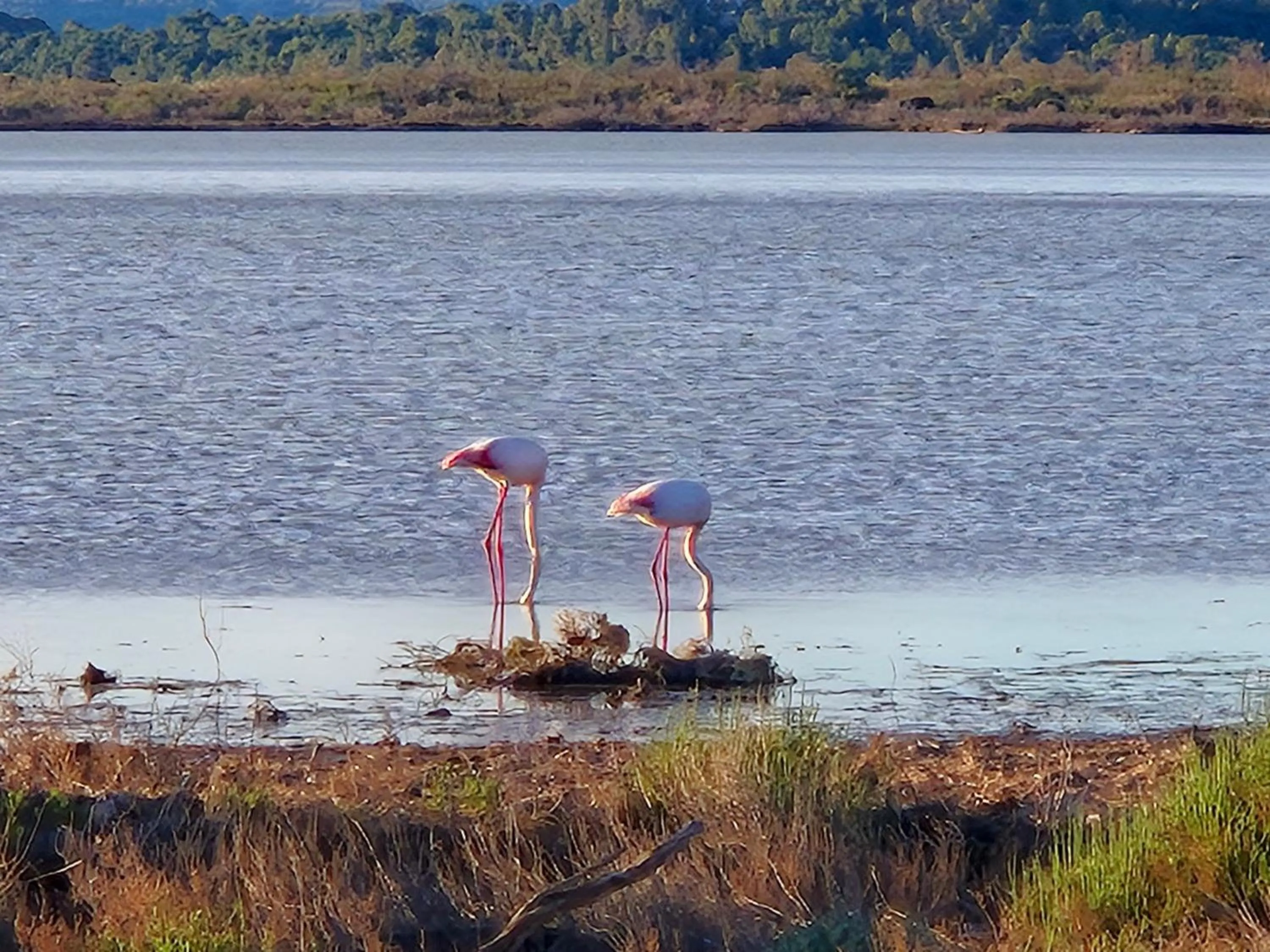 Nearby landmark in H2o Chambres d'Hôtes