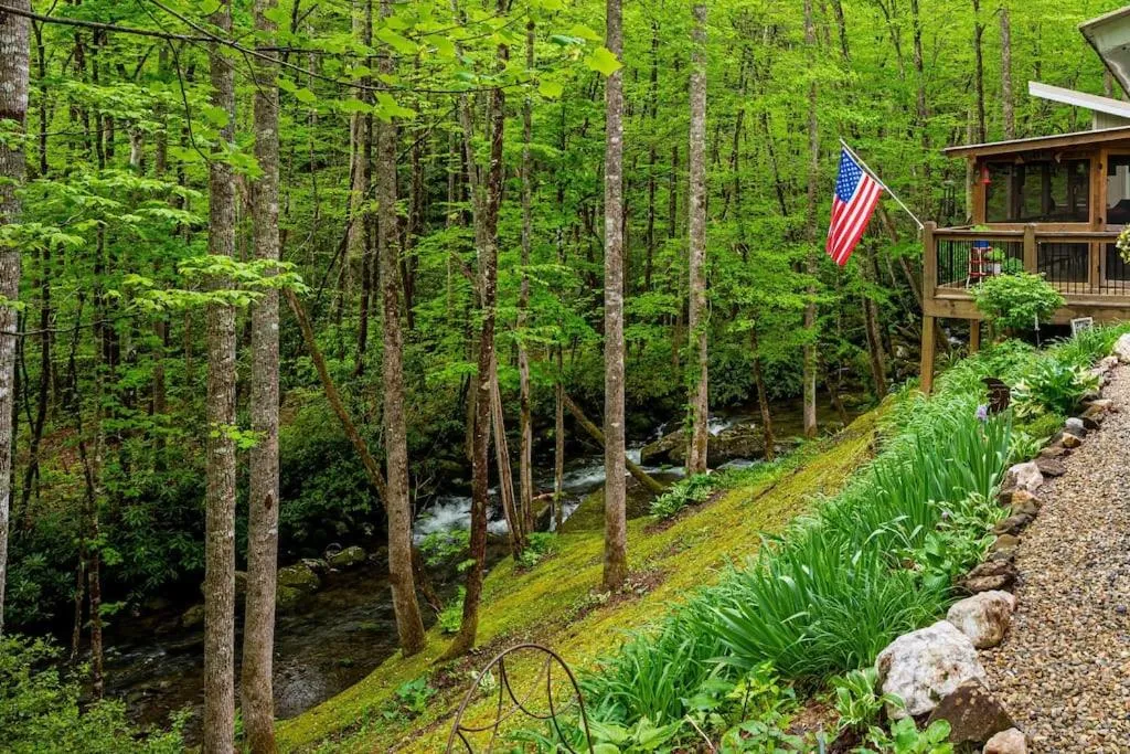 Property building in The Owl's Perch
