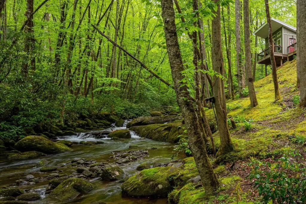 Property building in The Owl's Perch