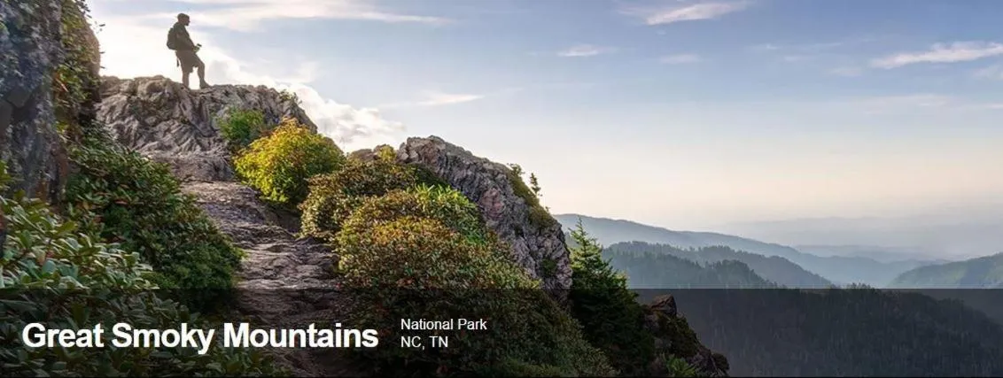 Nearby landmark in The Owl's Perch