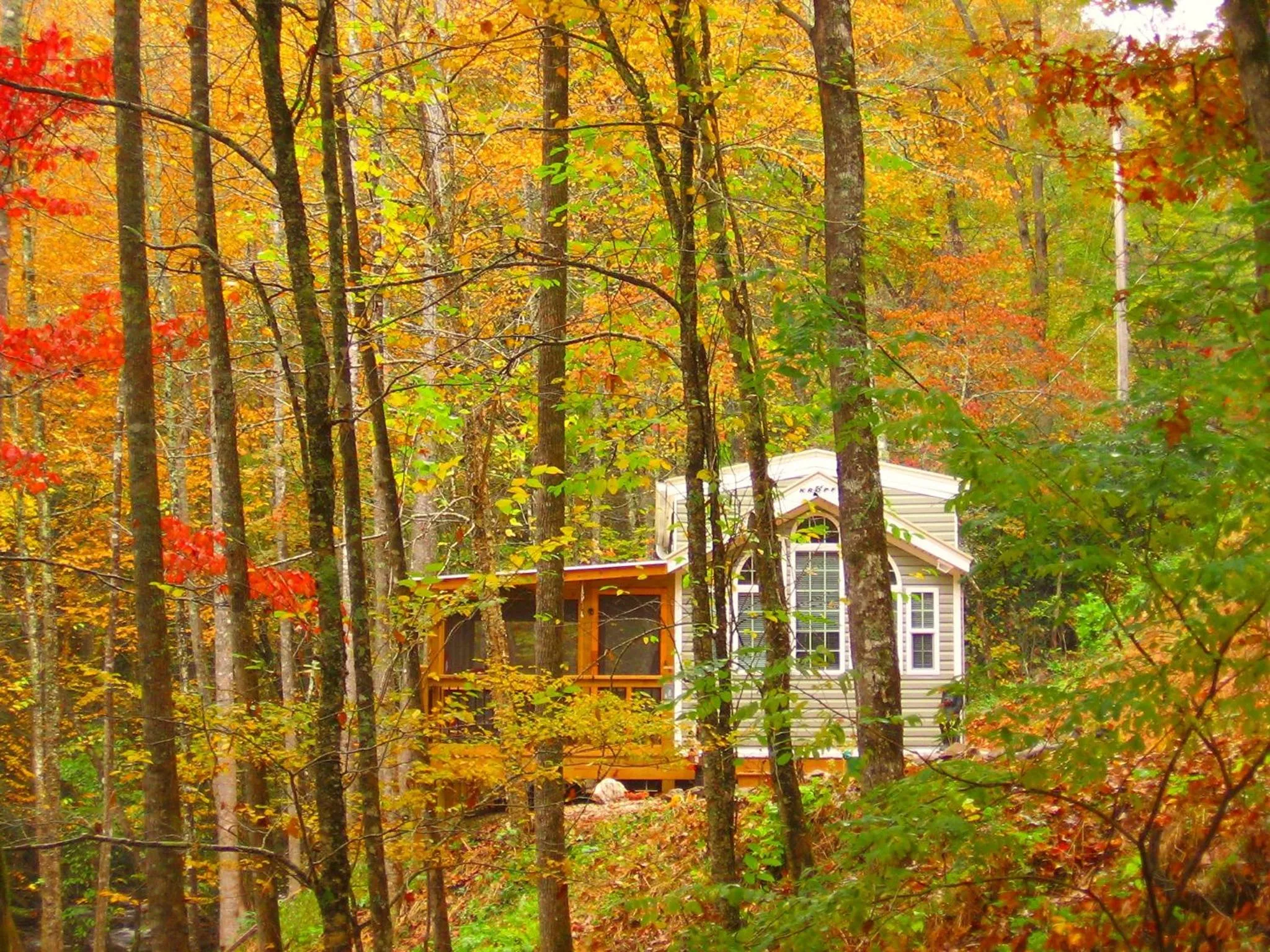 Property building in The Owl's Perch