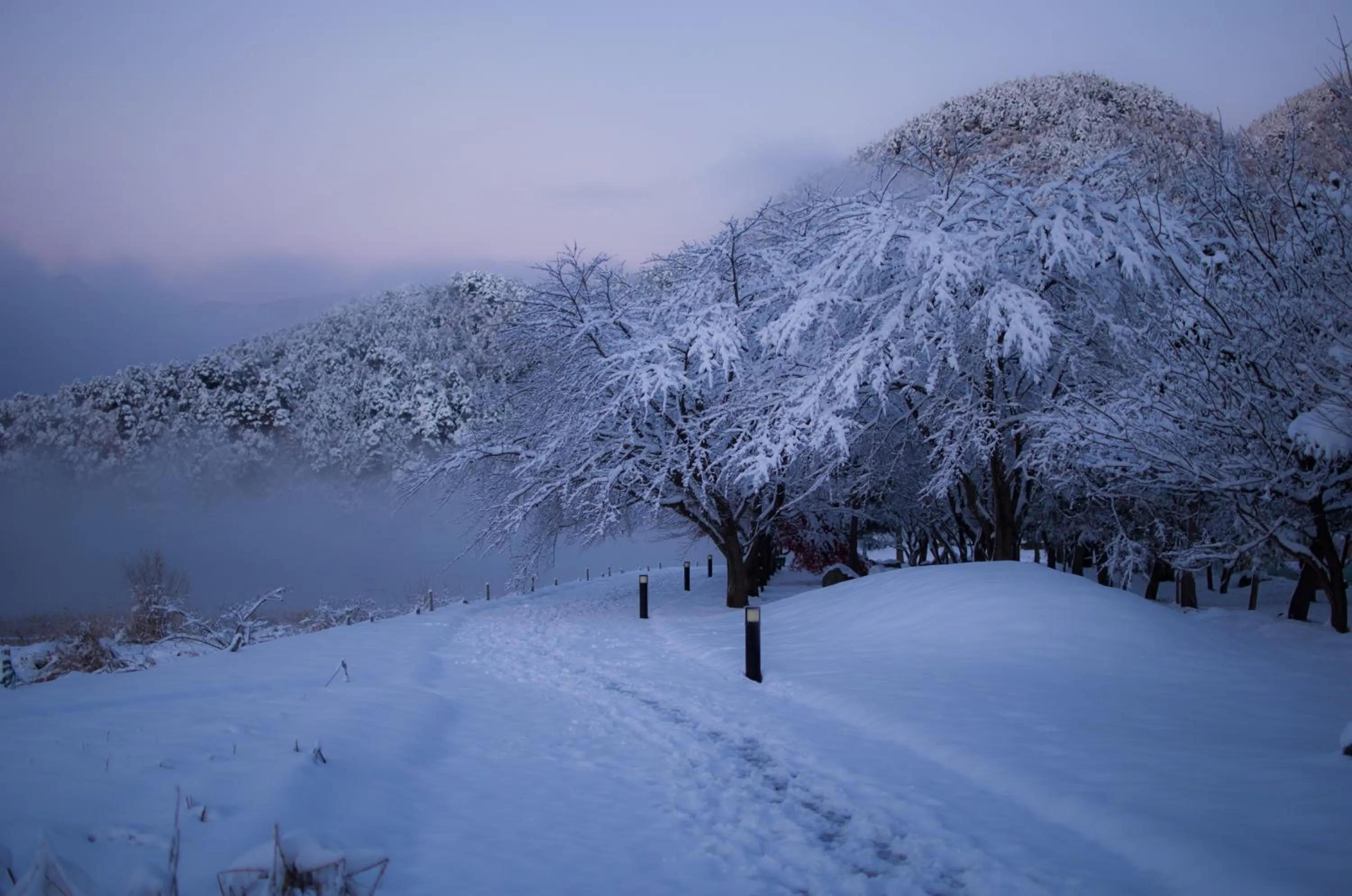 Other in Kawaguchiko Cottage Minami
