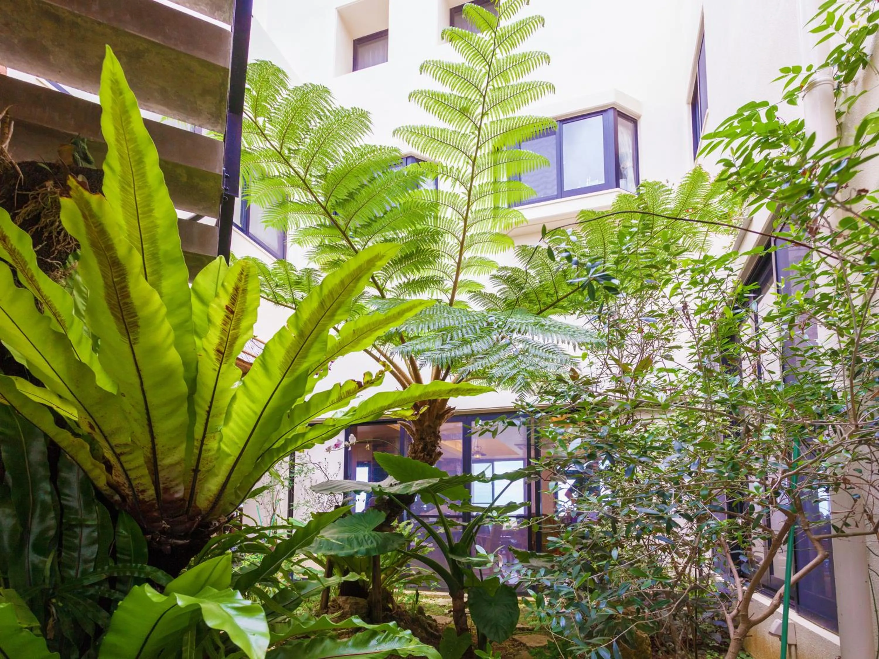 Garden in Kariyushi Condominium Ocean Hills Chouraku Stay