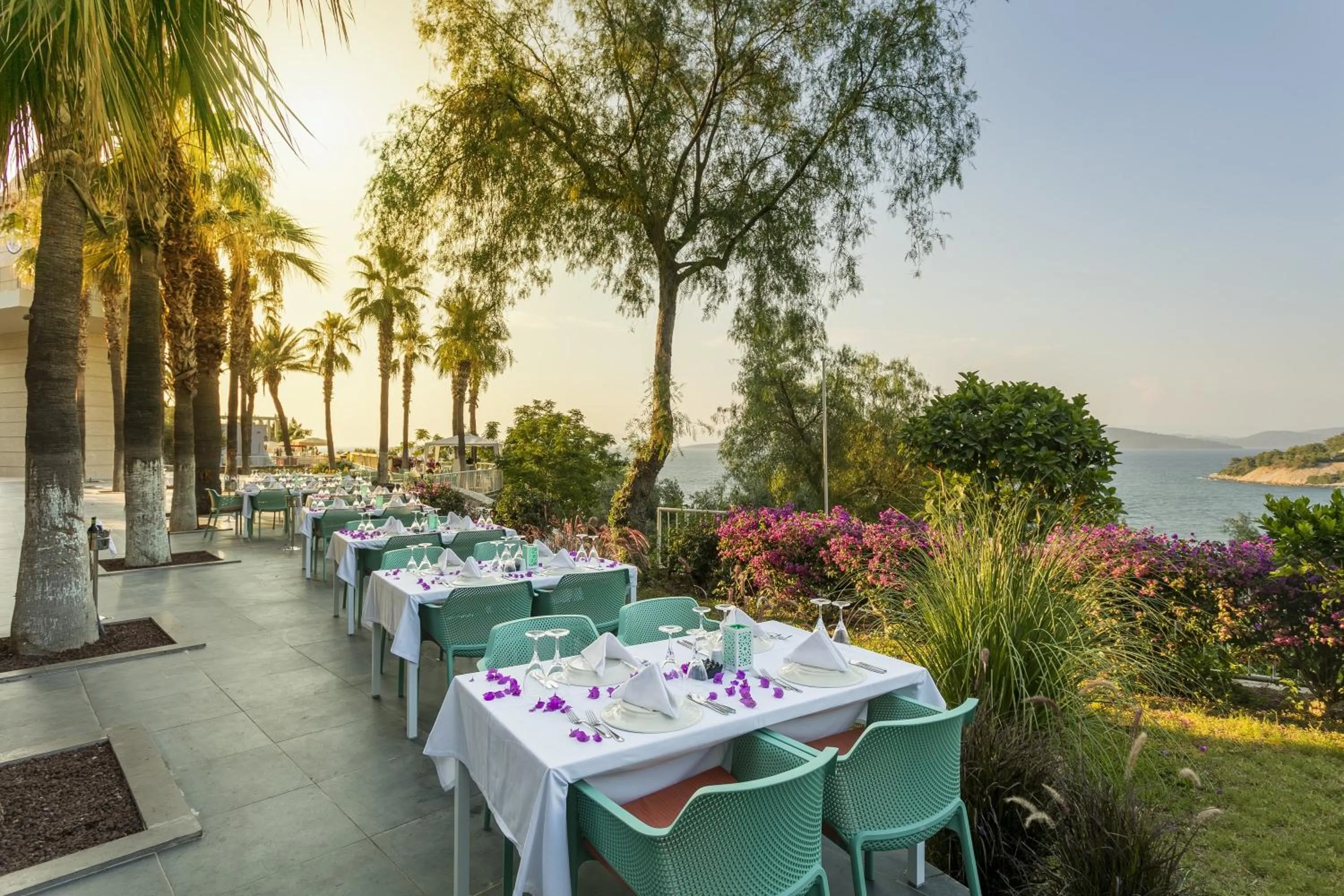 Restaurant/places to eat in Duja Bodrum