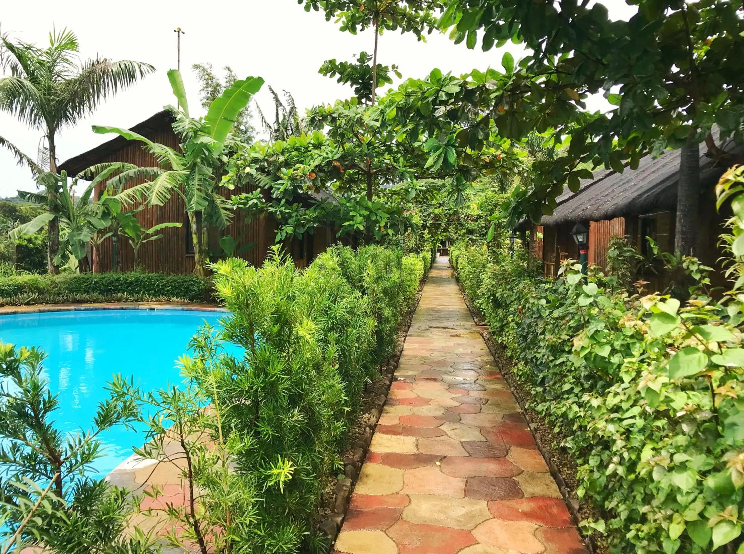 Garden in Calayo Beach Resort